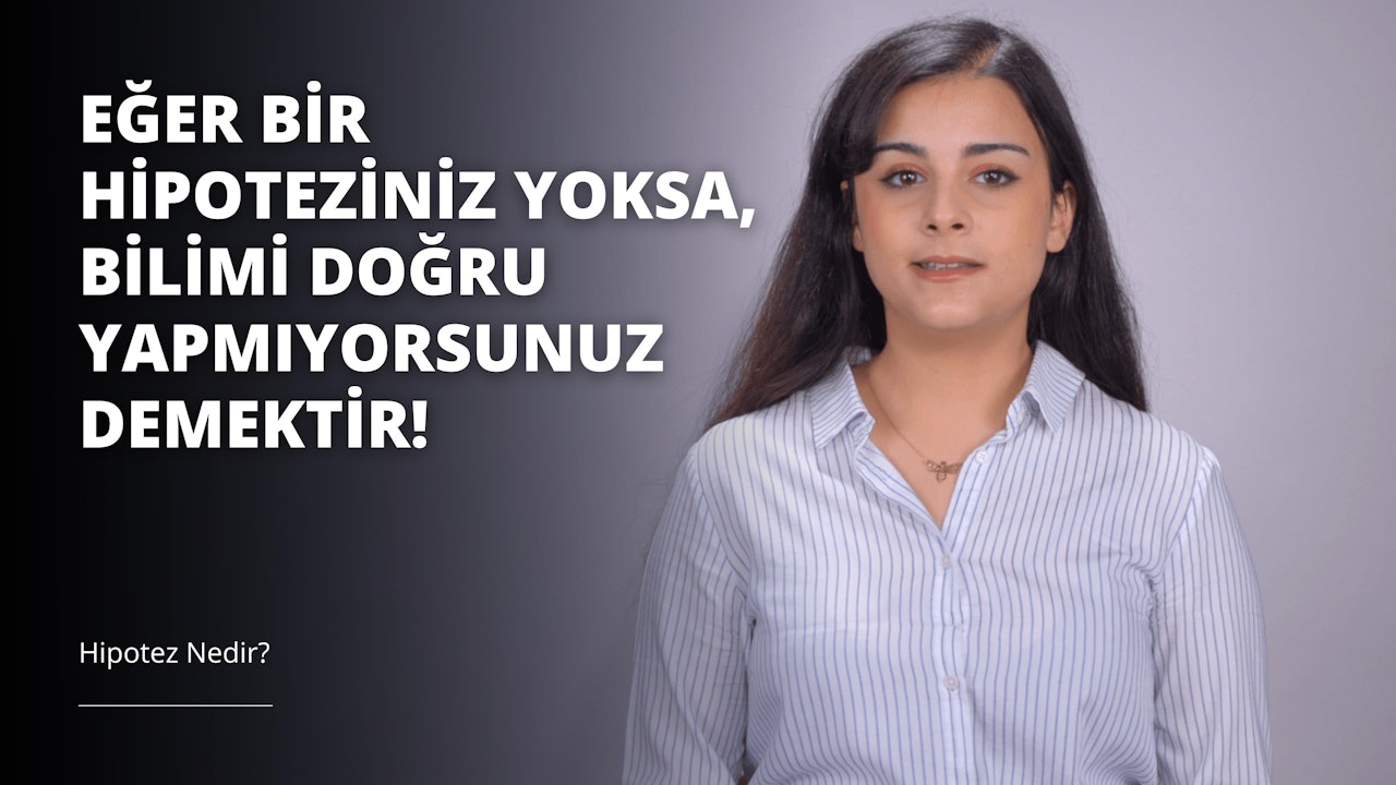 Uzun, siyah saçlı bir kadın beyaz bir arka plan üzerinde duruyor. Mavi ve beyaz çizgili desenli beyaz bir gömlek giymiş ve boynunda altın bir kolye var. Saçları yüzünden geriye doğru toplanmıştır ve kameraya ciddi, hatta biraz üzgün olarak yorumlanabilecek bir ifadeyle bakmaktadır. Gözleri koyu renk ve yüzü uzun saçlarıyla çerçevelenmiş. Arka plan tamamen beyazdır ve görüntü bir portrede görülebilecek bir derinliğe sahiptir. Kadın kollarını iki yana açmış bir şekilde ayakta duruyor ve vücudu hafifçe sağa doğru eğilmiş.