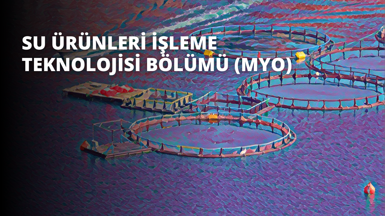 Resimde suyun içinde bir balık çiftliği görülmektedir. Arka planda mavi bir gökyüzü ve suyun açık mavi bir tonu var. Görüntünün merkezinde, suda yüzen balıklar gibi görünen yuvarlak nesneler kümesi var. Arka planda bir stadyumun bulanık bir görüntüsü var. Görüntünün sağ tarafında, bir bina olabilecek mavi arka plana sahip renkli bir yapı var. Resmin sol tarafında, mavi arka plana karşı göze çarpan üç beyaz O harfi var. Sağ üst köşede, sarı bir nesne ile bir roller coaster pisti var. Son olarak, sağ alt köşede, sudaki kırmızı bir nesnenin bulanık bir görüntüsü var. Genel olarak, bu görüntü bir balık çiftliğinin huzurlu ve sakin bir sahnesini yakalıyor.