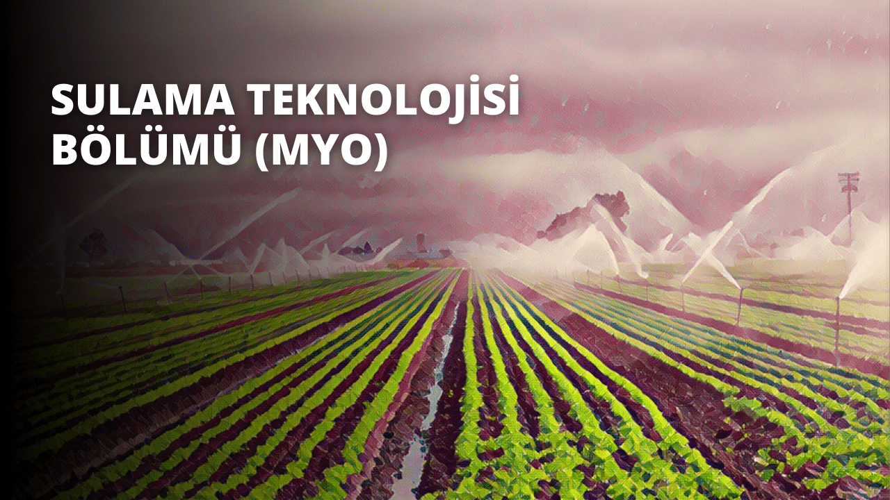 Bu görüntü, ön planda mor bir zemin üzerinde beyaz bir 'O' harfi ile yeşil ve mor bitkilerden oluşan güzel bir tarlayı göstermektedir. Tarla, arka planda mor ve yeşil şeritlerle ve uzak arka planda bulutlarla pembe bir gökyüzü ile uzanıyor. Tarlanın ortasında su püskürten bir yağmurlama sistemi var. Sahne huzurlu ve davetkâr, açık havada dinlendirici bir gün için mükemmel.