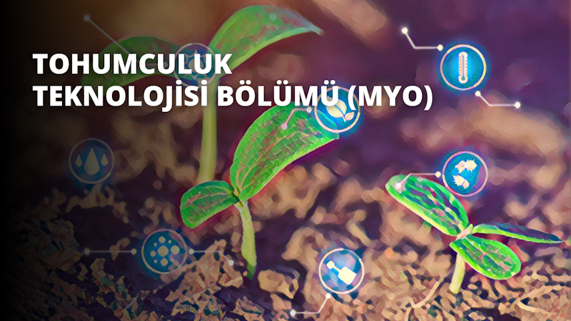 Bir bitkinin bu yakın çekim görüntüsü, koyu kahverengi topraktan çıkan parlak yeşil bir gövde ve yaprakları gösteriyor. Bitkinin küçük sarı bir çiçeği ve birkaç açık yeşil yaprağı var. Arka plan bulanık ve ortasında beyaz ve sarı bir nesne bulunan mavi ve beyaz bir daire içeriyor. Ayrıca, görüntünün sağ alt köşesinde beyaz noktalı küçük mavi bir daire var. Bu fotoğraf bitkinin ve içinde büyüdüğü ortamın ayrıntılı bir görünümünü sunmaktadır.