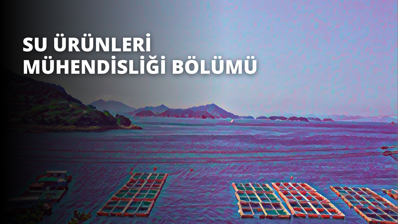 Bu fotoğrafta bir su kütlesinde bir grup balık kafesi ve aralarında yüzen çeşitli renkli nesneler görülüyor. Kafesler metalden yapılmış ve arka planda kırmızı ve mavi bir nesne ile yüzeyde kare bir nesne var. Ön planda, bazılarının üzerinde beyaz yazılar bulunan birkaç yüzen sal var. Uzak arka planda, mavi gökyüzü ve beyaz bulutlarla birlikte bir dağ ve tepe görülebiliyor. Görüntü odaklanmış durumda ve izleyiciye sahnedeki nesnelere yakından bakma imkanı veriyor. Görüntünün renkleri canlı ve göz alıcı, bu da onu estetik açıdan hoş bir fotoğraf haline getiriyor.