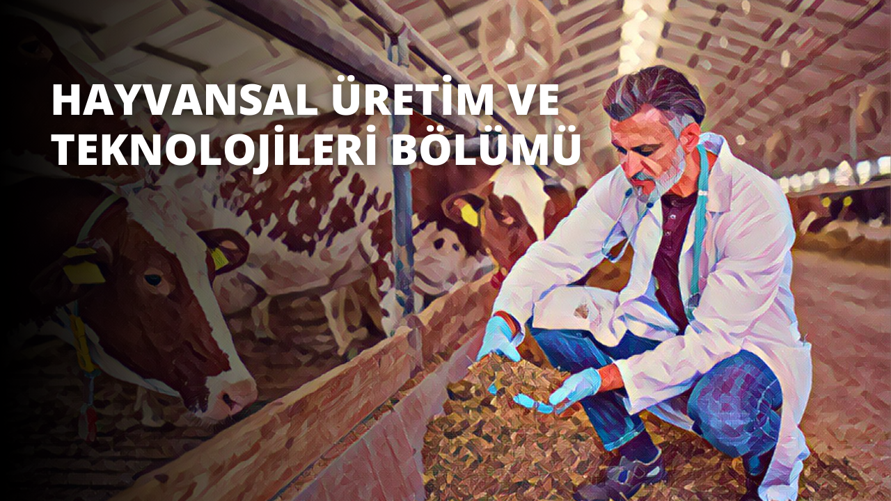 Beyaz önlüklü ve mavi eldivenli bir adam birkaç ineğin bulunduğu bir ağılda oturuyor. Aşağıya bakıyor ve görünüşe göre inekleri besleme görevine odaklanmış durumda. Sakallı adamın başını ve omuzlarını beyaz bir örtü örtüyor. Etrafındaki ineklerin başlarında sarı etiketler var ve arka planda bulanık bir insan başı görüntüsü var. Ön planda, beyaz bir daire ve içinde siyah bir nesne olan mor bir nesnenin yakın çekimi var.