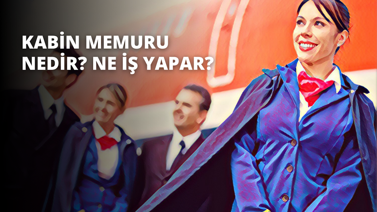 THY kabin memuru alımı başvurusu nasıl yapılır? Başvuru ...