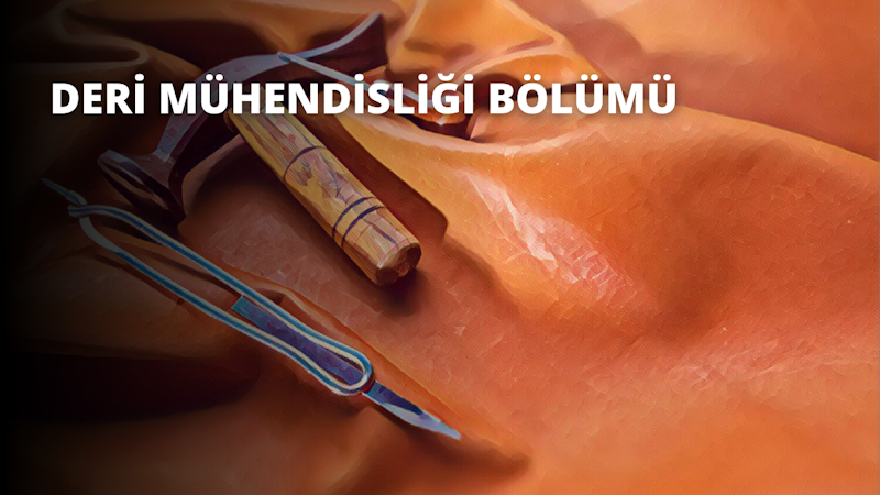 Resimde bir aletin yakın çekimi görülmektedir. Ahşap saplı, sivri uçlu ve düz tabanlı metal bir cımbızdır. Cımbız, sapı bir elin işaret ve orta parmakları arasında olacak şekilde tutulmaktadır. Cımbızın uçları neredeyse birbirine değecek şekilde kapalı bir konumda olduğu görülüyor. Resmin arka planında ayrıca, tepesi kavisli ve tabanı düz bir çubuk var. Çubuk açık kahverengi bir tonda, cımbız ise gümüş bir kaplamaya sahip. Görüntü yakın bir açıdan çekilmiştir ve izleyicinin aletin ayrıntılı bir görünümünü elde etmesini sağlar.