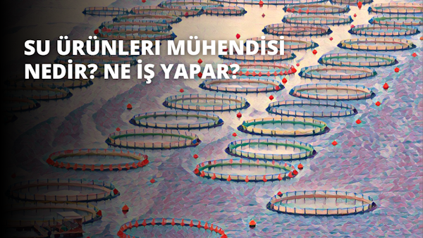 Bir su kütlesinde yüzen bir grup dairesel nesne. Nesneler bulanık ve farklı malzemelerden yapılmış gibi görünüyor. Arka planda üstü kavisli bir bank, geniş bir açık alana sahip bir stadyum ve salıncaklı ve kaydıraklı bir oyun alanı var. Ayrıca bir yatak, bir diş ve bir klavyenin yakın çekimi de var. Nesnelerin renkleri beyazdan mavi ve yeşile kadar değişiyor. Su durgun ve ışık yüzeyden yansıyor.