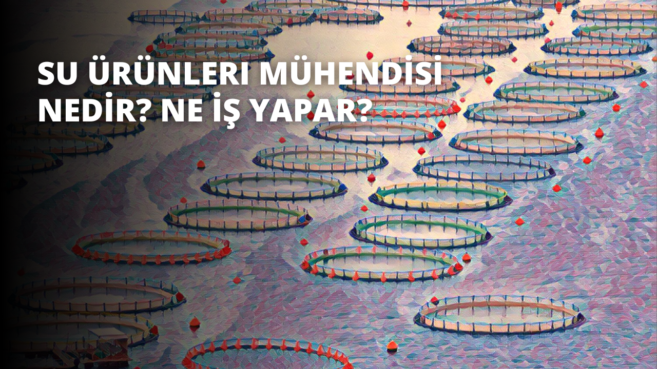 Bir su kütlesinde yüzen bir grup dairesel nesne. Nesneler bulanık ve farklı malzemelerden yapılmış gibi görünüyor. Arka planda üstü kavisli bir bank, geniş bir açık alana sahip bir stadyum ve salıncaklı ve kaydıraklı bir oyun alanı var. Ayrıca bir yatak, bir diş ve bir klavyenin yakın çekimi de var. Nesnelerin renkleri beyazdan mavi ve yeşile kadar değişiyor. Su durgun ve ışık yüzeyden yansıyor.