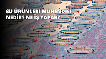 Bir su kütlesinde yüzen bir grup dairesel nesne. Nesneler bulanık ve farklı malzemelerden yapılmış gibi görünüyor. Arka planda üstü kavisli bir bank, geniş bir açık alana sahip bir stadyum ve salıncaklı ve kaydıraklı bir oyun alanı var. Ayrıca bir yatak, bir diş ve bir klavyenin yakın çekimi de var. Nesnelerin renkleri beyazdan mavi ve yeşile kadar değişiyor. Su durgun ve ışık yüzeyden yansıyor.