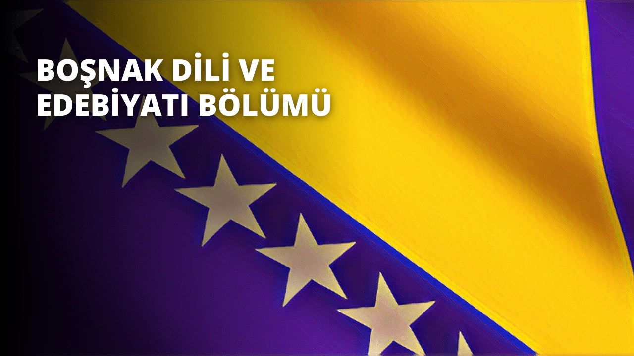 Üst ve alt kenarları boyunca yatay olarak uzanan geniş bir mavi şerit ile parlak sarı bir arka plana sahip büyük bir dikdörtgen bayrak görüntülenir. Mavi şerit, bayrağa vatansever ve neşeli bir görünüm veren, tekrar eden bir desende beyaz yıldızlardan oluşan bir desenle doldurulmuştur. Bayrak sol üst köşeden asılır ve kumaşın sağ alt köşeye kadar sarkmasına izin verilir. Bayrağın kenarları hafifçe yıpranmış ve aşınmıştır, bu da bayrağın eski ve çok sevilen bir ürün olduğunu göstermektedir.