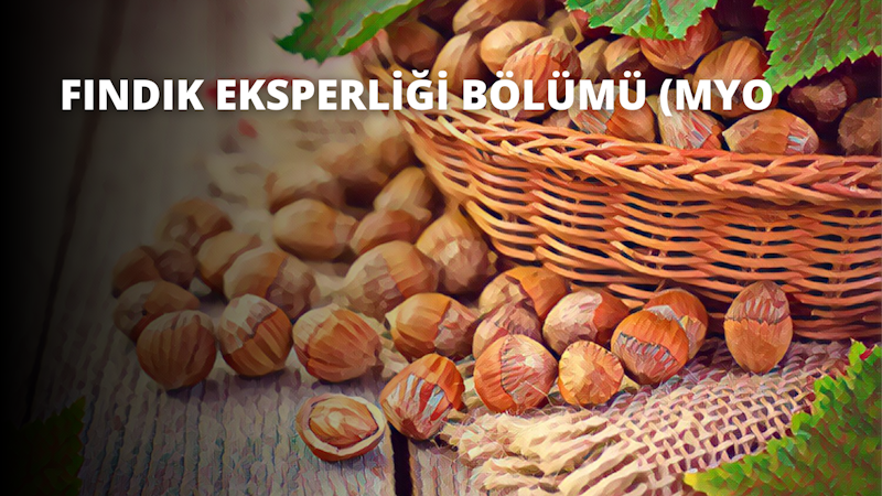 Ahşap bir masanın üzerinde bir sepet dolusu kuruyemiş durmaktadır ve farklı kuruyemiş türleri görülebilmektedir. Sepetin önüne turuncu bir balkabağı yerleştirilmiş, birkaç yaprağı hala sapına bağlı. Parlak turuncu bir nesne ve küçük kahverengi bir balkabağı da dahil olmak üzere birkaç meyve ve sebze etrafa saçılmış. Sepet parlak renkli yemişlerle dolu, bazılarının kabukları hala yerinde, bazılarının ise kabukları çoktan soyulmuş. Yakından bakıldığında fındıkların arasında birkaç küçük yeşil yaprak parçası görülebiliyor. Odanın ışığı farklı renkleri yansıtarak sepetin içindekilerin güzel bir görüntüsünü oluşturuyor.