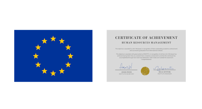the eu flag with the word accreditation on it, in the style of narrative diptychs, reinterpreted human form, digital as manual, leica cl, english major, gray and gold, havencore