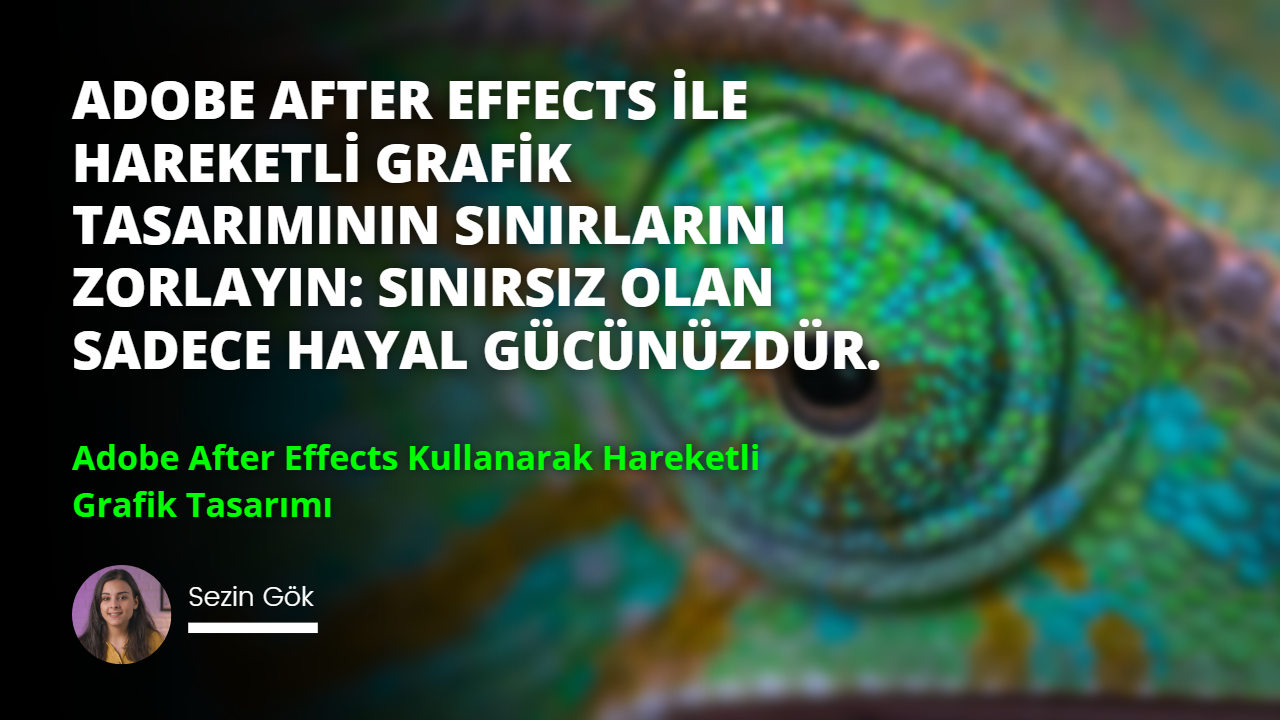 Bir sürüngenin gözünün yakın çekimi görüntüleniyor. Göz yoğun bir sarı-yeşil renktedir ve göz bebekleri parlak ve uyanıktır. İris koyu siyahtır ve göz kapakları hafifçe açıktır. Göz, görüntünün sağ tarafına bakarak bir hareket hissi veriyor. Sürüngenin yüzü görünmüyor ama gözü sanki doğrudan kameraya bakıyormuş gibi doğrudan izleyiciye bakıyor. Gözünün etrafı parlak yeşil, pullu bir deriyle çevrilidir. Pullar karmaşık bir şekilde detaylandırılmış ve küçük, üst üste binen plakalardan yapılmış gibi görünüyor. Arka plan odak dışıdır ve görüntüye ruhani bir his verir.