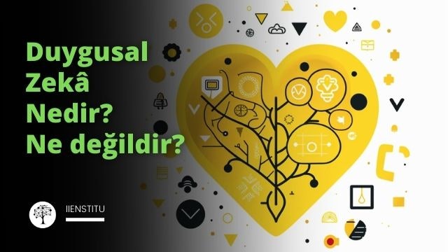 Görselde beyaz zemin üzerine siyah hatlarla çizilmiş bir beyin ve kalp silueti yer almaktadır. Beyin duygusal zekânın bilişsel bileşenlerini, kalp ise duygusal bileşenlerini temsil etmektedir. Beyin ve kalp arasında, her biri duygusal zekanın bir bileşenini temsil eden dört koyu sarı simge yer almaktadır: bir göz (öz farkındalık), bir düğme (öz yönetim), bir konuşma balonu (sosyal farkındalık) ve birleşmiş iki el (ilişki yönetimi). Beyin ve kalbin altında duygusal zekanın faydalarını temsil eden koyu sarı simgeler yer almaktadır: bir dağ tırmanıcısı (zor durumların üstesinden gelmek), iki parçanın bir araya geldiği bir yapboz (güçlü ilişkiler kurmak) ve bir hedef tahtası (hedeflere ulaşmak). Resmin tamamı, duygusal zekayı tanıma, anlama ve yönetme becerisinin kişisel ve profesyonel başarının anahtarı olduğu fikrini vurgulamak için tasarlanmıştır.gerçek fotoğraf, elaxed, fotoğraf stili, gerçekçi, sinematik doku, süper detay, 8k