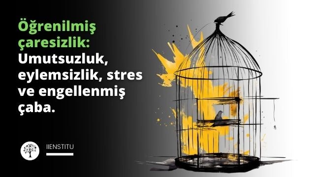 Beyaz bir arka plan üzerine siyah çizgilerle bir kuş kafesi çizilmiştir. Kafesin içinde koyu sarı bir kuş vardır ve kafesin kapısı açıktır. Kuş öğrenilmiş çaresizliği temsil etmektedir; kapı açık olmasına rağmen kafesin içinde kalmaktadır çünkü önceki deneyimleri ona kaçmanın mümkün olmadığını öğretmiştir. Kuşun etrafında öğrenilmiş çaresizliğin etki ve sonuçlarını temsil eden koyu sarı semboller bulunmaktadır. Bunlar arasında bir bulut (umutsuzluk), bir saat (eylemsizlik), bir kalp kırıklığı (duygusal stres) ve bir engel (engellenmiş çaba) bulunmaktadır. Bu görsel, öğrenilmiş çaresizliğin, önceki başarısız deneyimler nedeniyle insanların yeni fırsatlara ve çözümlere karşı pasif hale gelmesine neden olan bir durum olduğunu göstermek için tasarlanmıştır