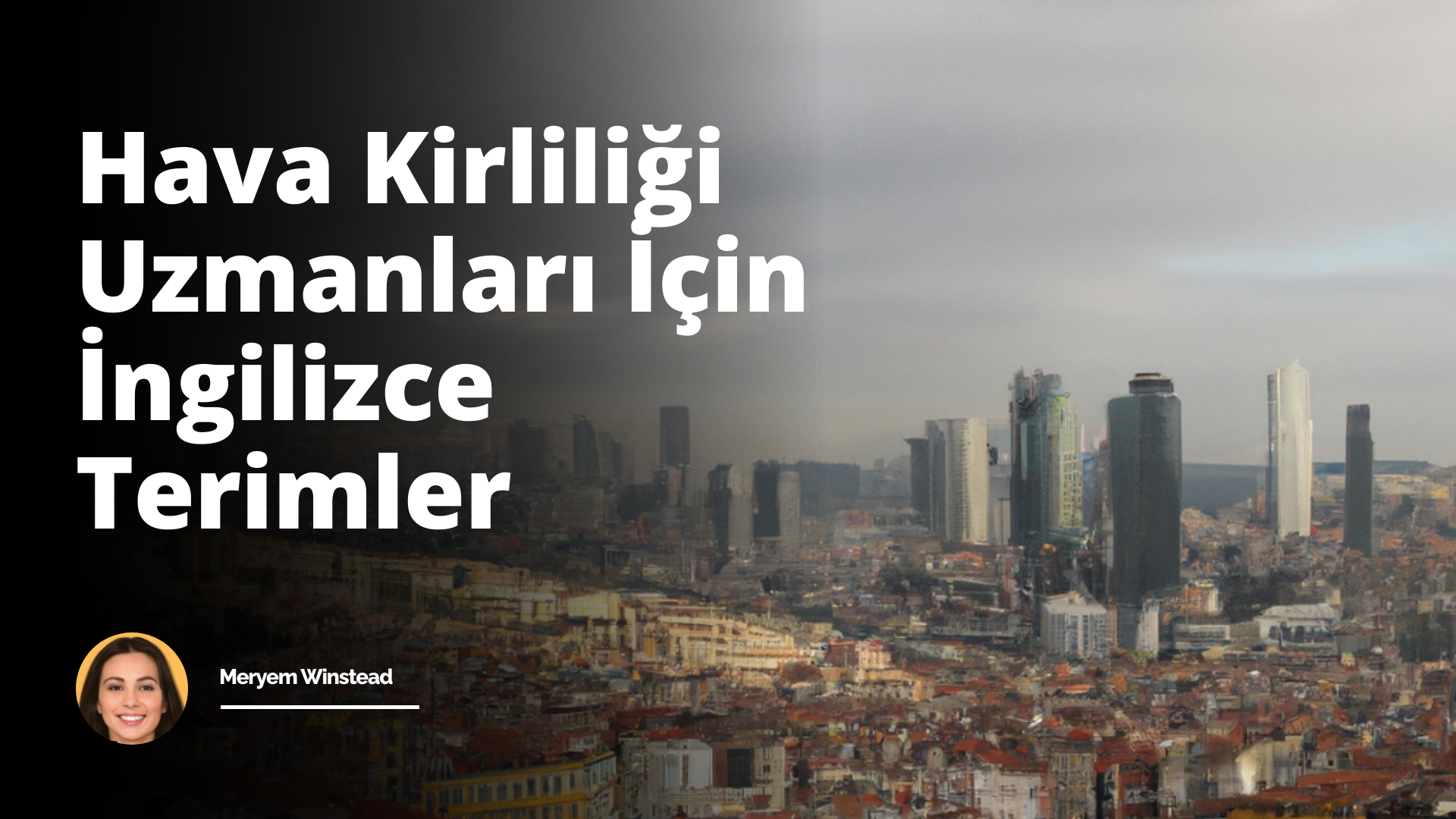 Bu resim, bir şehir manzarasını resmetmektedir. Sağ tarafta, gri ve yüksek beton binalar, pencereleri sayısız pencere ile desenlenmiş ve rastgele yüksekliklerde yerden yükselir. Bazılarına yakından bakıldığında, işaret dili ile yazılmış 'karbon emisyonları', 'hava kirliliği' ve 'fosil yakıt' terimleri görülebilir. Sol tarafta, bir santralın geniş ve tuğla yığını benzeri yapıları ve yukarıya doğru tüten bacaları bulunmaktadır. Bacalarından çıkan smoke, gri tonları ve yoğun bir sis ve karmaşık bir çizgi evreni oluşturan gaz bulutlarına dönüşüyor. Bu gaz bulutları, resimde yer alan parlak mavi gökyüzünun büyük bir kısmını kaplıyor ve binaların üzerinde ağır bir perde oluşturuyor. Gökyüzünün belirgin ayrıntıları ise, sol üst köşede batmak üzere olan kızıl bir güneş ve onun etrafında parıldayan birkaç soluk yıldızdır. Rengarenk, ancak büyük ölçüde gri tonlarına batmış bu manzara, somut ve soyut hava kirliliği terimlerinin görsel bir temsilini sunar.