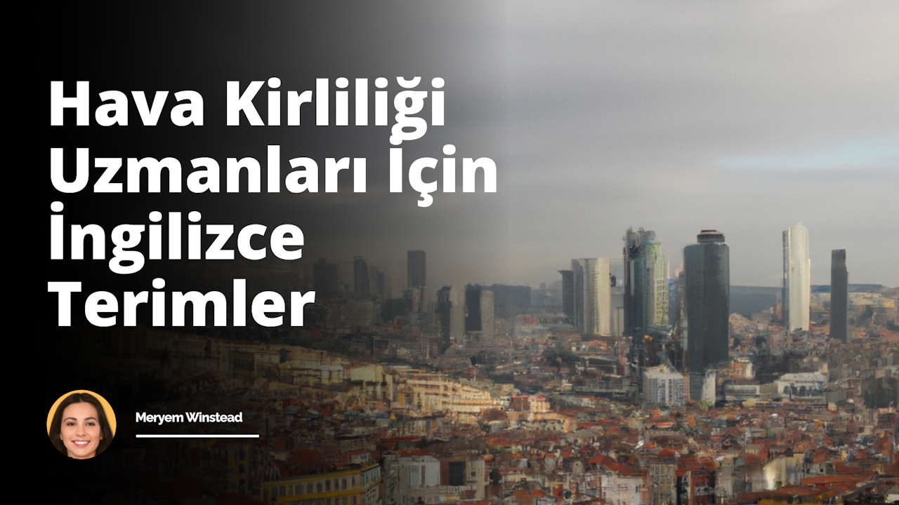 Bu resim, bir şehir manzarasını resmetmektedir. Sağ tarafta, gri ve yüksek beton binalar, pencereleri sayısız pencere ile desenlenmiş ve rastgele yüksekliklerde yerden yükselir. Bazılarına yakından bakıldığında, işaret dili ile yazılmış 'karbon emisyonları', 'hava kirliliği' ve 'fosil yakıt' terimleri görülebilir. Sol tarafta, bir santralın geniş ve tuğla yığını benzeri yapıları ve yukarıya doğru tüten bacaları bulunmaktadır. Bacalarından çıkan smoke, gri tonları ve yoğun bir sis ve karmaşık bir çizgi evreni oluşturan gaz bulutlarına dönüşüyor. Bu gaz bulutları, resimde yer alan parlak mavi gökyüzünun büyük bir kısmını kaplıyor ve binaların üzerinde ağır bir perde oluşturuyor. Gökyüzünün belirgin ayrıntıları ise, sol üst köşede batmak üzere olan kızıl bir güneş ve onun etrafında parıldayan birkaç soluk yıldızdır. Rengarenk, ancak büyük ölçüde gri tonlarına batmış bu manzara, somut ve soyut hava kirliliği terimlerinin görsel bir temsilini sunar.