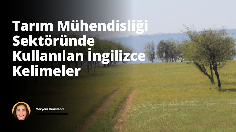 Bu resim tarım mühendisliği konseptlerini ve elementlerini içermektedir. Resmin ortasında büyük bir çiftlik alanı yer alırken, sağında geniş bir arazi, solunda ise bir ormanlık alan görülmektedir. Çiftlik alanında çeşitli tarım aletlerini ve makinalarını, örneğin traktör, hasat makinesi gibi, belirgin şekilde görülebilir. Traktörün içerisinde bir tarım mühendisi bulunmaktadır ve elinde çizimleri ve hesaplamaları gösteren bir kağıtlar bulunur. Çiftlikte ayrıca bir sürü yetişmekte olan bitki var; bu mahsul bölgesi çeşitli bitkilerle dolu toprak sıralarını ve sulama sistemini gösteriyor. Ormanlık alanda, ağaçların arasında, toprak ve su kalitesi ölçüm cihazları gibi tarım mühendisliğine özgü bazı aletler görülebilir. Bu aletler toprak ve su kaynaklarının kalitesinin izlenmesinde kullanılır. Tüm resim genellikle yeşil ve kahverengi tonlarından oluşan bir renk paleti ile resmedilmiştir. Resim, tarım mühendisliğinin geniş kapsamını ve çeşitli yönlerini sergilemektedir.