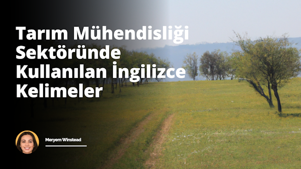Bu resim tarım mühendisliği konseptlerini ve elementlerini içermektedir. Resmin ortasında büyük bir çiftlik alanı yer alırken, sağında geniş bir arazi, solunda ise bir ormanlık alan görülmektedir. Çiftlik alanında çeşitli tarım aletlerini ve makinalarını, örneğin traktör, hasat makinesi gibi, belirgin şekilde görülebilir. Traktörün içerisinde bir tarım mühendisi bulunmaktadır ve elinde çizimleri ve hesaplamaları gösteren bir kağıtlar bulunur. Çiftlikte ayrıca bir sürü yetişmekte olan bitki var; bu mahsul bölgesi çeşitli bitkilerle dolu toprak sıralarını ve sulama sistemini gösteriyor. Ormanlık alanda, ağaçların arasında, toprak ve su kalitesi ölçüm cihazları gibi tarım mühendisliğine özgü bazı aletler görülebilir. Bu aletler toprak ve su kaynaklarının kalitesinin izlenmesinde kullanılır. Tüm resim genellikle yeşil ve kahverengi tonlarından oluşan bir renk paleti ile resmedilmiştir. Resim, tarım mühendisliğinin geniş kapsamını ve çeşitli yönlerini sergilemektedir.