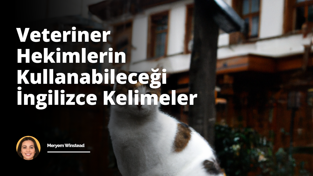 Bu resim, bir veterinerden saçma, kapalı bir odadaki çeşitli evcil hayvanları tedavi ederken bir görüntü sunar. Resmin merkezinde, beyaz önlük giymiş bir kadın veteriner var, onun sağında bir kedi sakin bir halde muayene masasında yatıyor ve sol tarafında ise bir köpek tedavi için bekliyor. Her bir hayvana, veterinerin profesyonel ve nazik tutumu hissediliyor. Dikkat çeken veteriner ekipmanının yanı sıra, çeşitli ilaçlar ve aşılar da görülmekte. Duvarları süsleyen asılı diploma ve sertifikalar, doktorun donanımını ve deneyimini sergiliyor. Odanın tamamı, etrafı kavrayan yumuşak, sıcak bir ışıkla dolu, bu da hayvanlara rahatlama hissi veren bir atmosfer oluşturuyor. Bu resim genel olarak güvende hissetme, umut ve veteriner hekimliği konularını vurguluyor.