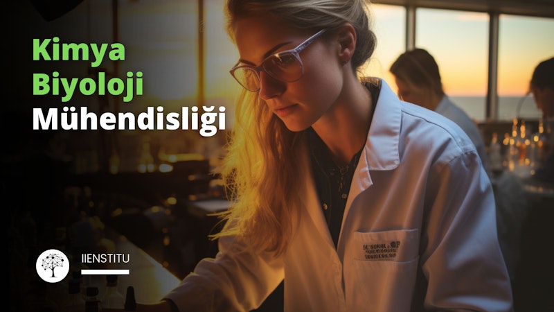 Bu görüntüde, bir grup insan kapalı bir ortamda toplanmıştır. Baskın renkler kahverengi ve siyah, vurgu rengi ise C78904. Çerçevenin ortasında laboratuvar önlüğü giymiş gibi görünen gözlüklü bir kadın var. Saçlarını arkaya toplamış ve yana doğru bakıyor. Kadının sağında, çerçevedeki konumu nedeniyle yüzü görülemeyen bir kişi daha var. Önlerindeki masanın üzerinde, içinde bir tür içecek ya da sıvı varmış gibi görünen bir şişe duruyor. Buna ek olarak, iki yanlarında iki kişi daha görünüyor; ancak kamera merceğine göre durdukları yerden odak dışı oldukları için bulanık görünüyorlar. Üstlerinde, yüzlerine ve giysilerine ve arkalarında kitaplık gibi görünen bir şeyin üstünde duran gözlükler gibi etraflarındaki nesnelere gölge düşüren bir tavan ışığı asılıdır. Bu kişiler hep birlikte, kitap rafları ve etrafa saçılmış şişeler de dahil olmak üzere çeşitli eşyalarla dolu bu odada bilinmeyen bir şeye hazırlanırken sohbet ediyor gibi görünüyorlar