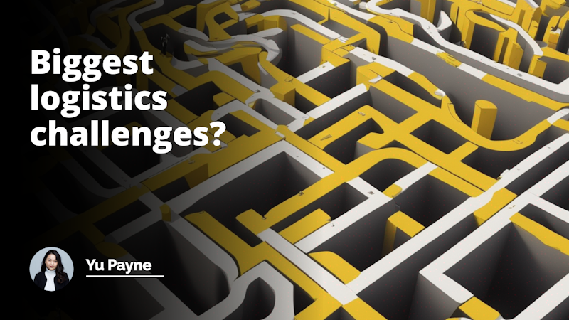 Logistics hurdles, large maze encapsulating the journey, yellow, black and white, intensely vivid, silent narrative, complex paths, detail-focused, YouTube cover ratio.