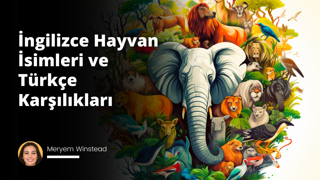 Görsel konseptimiz, İngilizce dilinde en yaygın hayvan isimlerini öğrenmeyi ve dil becerilerini geliştirme amacını taşıyan bir kompozisyon olacaktır. Bu konsepti, güçlü anlatımı ve detay seviyesi ile tampere uyum sağlayabilecek illüstrasyon sanatı ile sunmayı tercih ediyoruz. Bu disiplinde yetenekleriyle tanınan sanatçımız Albert Beadle'nin eseri bir referans olabilir. Farklı hayvan türlerini belirgin bir şekilde bir araya getiren geniş bir çizim yapısı hayal edin. İngilizce isimleri belirgin biçimde yer alan köpek, kedi ve kuş karakterleri, özenle çizilmiş ve renklendirilmiş. Çizim, Beadle'ın kendine has canlı ve sıcak renk paleti ile dikkat çekiyor ve altın sarısı ışık bu kompozisyona renk veriyor. Her hayvanın yüz ifadesinde merak ve heyecan bulunuyor, bu da öğrenme atmosferini vurguluyor. Genel aydınlatma, sahneyi aydrolic bir modda tutarken, farklı hayvan türlerinin İngilizce isimlerini belirtme ile ilgili ipuçlarını vurgulamaya yardımcı oluyor. Bu görsel, hem geniş kapsamlı bir sahneye sahip olurken hem de gereksiz karmaşıklıktan kaçınıyor, öğrenmeyi eğlenceli ve çekici kılarak ana konsept etrafında odaklanıyor.