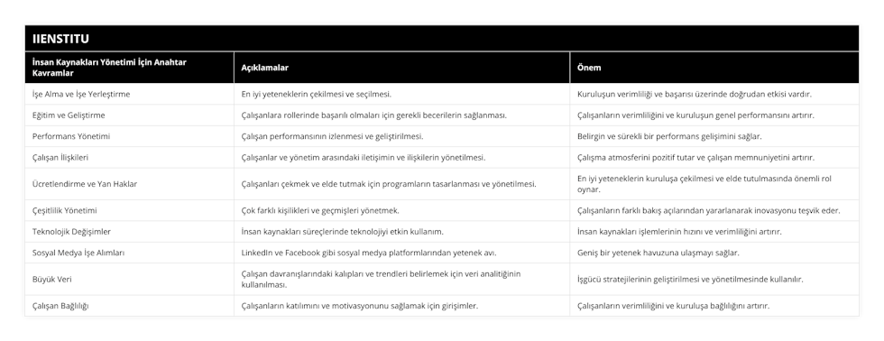 İşe Alma ve İşe Yerleştirme, En iyi yeteneklerin çekilmesi ve seçilmesi, Kuruluşun verimliliği ve başarısı üzerinde doğrudan etkisi vardır, Eğitim ve Geliştirme, Çalışanlara rollerinde başarılı olmaları için gerekli becerilerin sağlanması, Çalışanların verimliliğini ve kuruluşun genel performansını artırır, Performans Yönetimi, Çalışan performansının izlenmesi ve geliştirilmesi, Belirgin ve sürekli bir performans gelişimini sağlar, Çalışan İlişkileri, Çalışanlar ve yönetim arasındaki iletişimin ve ilişkilerin yönetilmesi, Çalışma atmosferini pozitif tutar ve çalışan memnuniyetini artırır, Ücretlendirme ve Yan Haklar, Çalışanları çekmek ve elde tutmak için programların tasarlanması ve yönetilmesi, En iyi yeteneklerin kuruluşa çekilmesi ve elde tutulmasında önemli rol oynar, Çeşitlilik Yönetimi, Çok farklı kişilikleri ve geçmişleri yönetmek, Çalışanların farklı bakış açılarından yararlanarak inovasyonu teşvik eder, Teknolojik Değişimler, İnsan kaynakları süreçlerinde teknolojiyi etkin kullanım, İnsan kaynakları işlemlerinin hızını ve verimliliğini artırır, Sosyal Medya İşe Alımları, LinkedIn ve Facebook gibi sosyal medya platformlarından yetenek avı, Geniş bir yetenek havuzuna ulaşmayı sağlar, Büyük Veri, Çalışan davranışlarındaki kalıpları ve trendleri belirlemek için veri analitiğinin kullanılması, İşgücü stratejilerinin geliştirilmesi ve yönetilmesinde kullanılır, Çalışan Bağlılığı, Çalışanların katılımını ve motivasyonunu sağlamak için girişimler, Çalışanların verimliliğini ve kuruluşa bağlılığını artırır