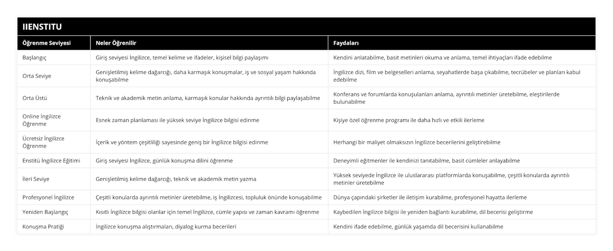 Başlangıç, Giriş seviyesi İngilizce, temel kelime ve ifadeler, kişisel bilgi paylaşımı, Kendini anlatabilme, basit metinleri okuma ve anlama, temel ihtiyaçları ifade edebilme, Orta Seviye, Genişletilmiş kelime dağarcığı, daha karmaşık konuşmalar, iş ve sosyal yaşam hakkında konuşabilme, İngilizce dizi, film ve belgeselleri anlama, seyahatlerde başa çıkabilme, tecrübeler ve planları kabul edebilme, Orta Üstü, Teknik ve akademik metin anlama, karmaşık konular hakkında ayrıntılı bilgi paylaşabilme, Konferans ve forumlarda konuşulanları anlama, ayrıntılı metinler üretebilme, eleştirilerde bulunabilme, Online İngilizce Öğrenme, Esnek zaman planlaması ile yüksek seviye İngilizce bilgisi edinme, Kişiye özel öğrenme programı ile daha hızlı ve etkili ilerleme, Ücretsiz İngilizce Öğrenme, İçerik ve yöntem çeşitliliği sayesinde geniş bir İngilizce bilgisi edinme, Herhangi bir maliyet olmaksızın İngilizce becerilerini geliştirebilme, Enstitü İngilizce Eğitimi, Giriş seviyesi İngilizce, günlük konuşma dilini öğrenme, Deneyimli eğitmenler ile kendinizi tanıtabilme, basit cümleler anlayabilme, İleri Seviye, Genişletilmiş kelime dağarcığı, teknik ve akademik metin yazma, Yüksek seviyede İngilizce ile uluslararası platformlarda konuşabilme, çeşitli konularda ayrıntılı metinler üretebilme, Profesyonel İngilizce, Çeşitli konularda ayrıntılı metinler üretebilme, iş İngilizcesi, topluluk önünde konuşabilme, Dünya çapındaki şirketler ile iletişim kurabilme, profesyonel hayatta ilerleme, Yeniden Başlangıç, Kısıtlı İngilizce bilgisi olanlar için temel İngilizce, cümle yapısı ve zaman kavramı öğrenme, Kaybedilen İngilizce bilgisi ile yeniden bağlantı kurabilme, dil becerisi geliştirme, Konuşma Pratiği, İngilizce konuşma alıştırmaları, diyalog kurma becerileri, Kendini ifade edebilme, günlük yaşamda dil becerisini kullanabilme