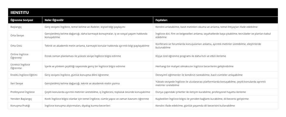 Başlangıç, Giriş seviyesi İngilizce, temel kelime ve ifadeler, kişisel bilgi paylaşımı, Kendini anlatabilme, basit metinleri okuma ve anlama, temel ihtiyaçları ifade edebilme, Orta Seviye, Genişletilmiş kelime dağarcığı, daha karmaşık konuşmalar, iş ve sosyal yaşam hakkında konuşabilme, İngilizce dizi, film ve belgeselleri anlama, seyahatlerde başa çıkabilme, tecrübeler ve planları kabul edebilme, Orta Üstü, Teknik ve akademik metin anlama, karmaşık konular hakkında ayrıntılı bilgi paylaşabilme, Konferans ve forumlarda konuşulanları anlama, ayrıntılı metinler üretebilme, eleştirilerde bulunabilme, Online İngilizce Öğrenme, Esnek zaman planlaması ile yüksek seviye İngilizce bilgisi edinme, Kişiye özel öğrenme programı ile daha hızlı ve etkili ilerleme, Ücretsiz İngilizce Öğrenme, İçerik ve yöntem çeşitliliği sayesinde geniş bir İngilizce bilgisi edinme, Herhangi bir maliyet olmaksızın İngilizce becerilerini geliştirebilme, Enstitü İngilizce Eğitimi, Giriş seviyesi İngilizce, günlük konuşma dilini öğrenme, Deneyimli eğitmenler ile kendinizi tanıtabilme, basit cümleler anlayabilme, İleri Seviye, Genişletilmiş kelime dağarcığı, teknik ve akademik metin yazma, Yüksek seviyede İngilizce ile uluslararası platformlarda konuşabilme, çeşitli konularda ayrıntılı metinler üretebilme, Profesyonel İngilizce, Çeşitli konularda ayrıntılı metinler üretebilme, iş İngilizcesi, topluluk önünde konuşabilme, Dünya çapındaki şirketler ile iletişim kurabilme, profesyonel hayatta ilerleme, Yeniden Başlangıç, Kısıtlı İngilizce bilgisi olanlar için temel İngilizce, cümle yapısı ve zaman kavramı öğrenme, Kaybedilen İngilizce bilgisi ile yeniden bağlantı kurabilme, dil becerisi geliştirme, Konuşma Pratiği, İngilizce konuşma alıştırmaları, diyalog kurma becerileri, Kendini ifade edebilme, günlük yaşamda dil becerisini kullanabilme