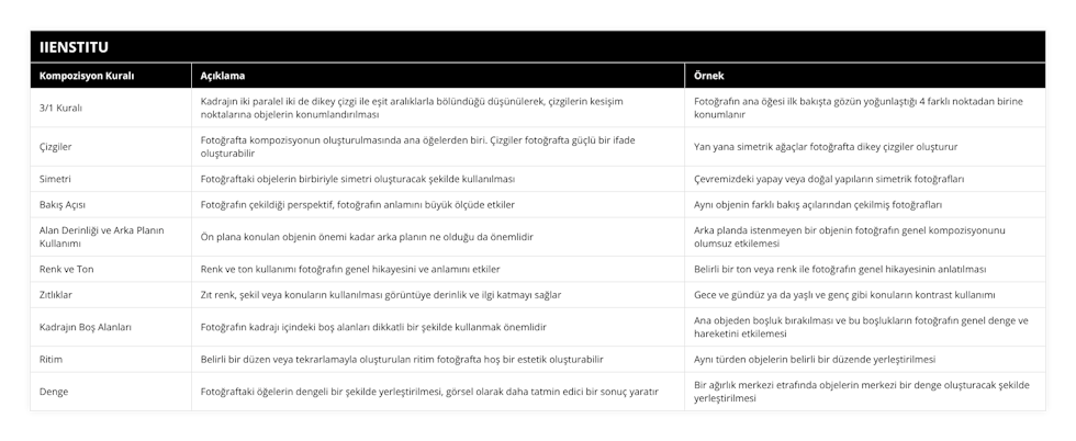 3/1 Kuralı, Kadrajın iki paralel iki de dikey çizgi ile eşit aralıklarla bölündüğü düşünülerek, çizgilerin kesişim noktalarına objelerin konumlandırılması , Fotoğrafın ana öğesi ilk bakışta gözün yoğunlaştığı 4 farklı noktadan birine konumlanır, Çizgiler, Fotoğrafta kompozisyonun oluşturulmasında ana öğelerden biri Çizgiler fotoğrafta güçlü bir ifade oluşturabilir, Yan yana simetrik ağaçlar fotoğrafta dikey çizgiler oluşturur, Simetri, Fotoğraftaki objelerin birbiriyle simetri oluşturacak şekilde kullanılması, Çevremizdeki yapay veya doğal yapıların simetrik fotoğrafları, Bakış Açısı, Fotoğrafın çekildiği perspektif, fotoğrafın anlamını büyük ölçüde etkiler, Aynı objenin farklı bakış açılarından çekilmiş fotoğrafları, Alan Derinliği ve Arka Planın Kullanımı, Ön plana konulan objenin önemi kadar arka planın ne olduğu da önemlidir, Arka planda istenmeyen bir objenin fotoğrafın genel kompozisyonunu olumsuz etkilemesi, Renk ve Ton, Renk ve ton kullanımı fotoğrafın genel hikayesini ve anlamını etkiler, Belirli bir ton veya renk ile fotoğrafın genel hikayesinin anlatılması, Zıtlıklar, Zıt renk, şekil veya konuların kullanılması görüntüye derinlik ve ilgi katmayı sağlar, Gece ve gündüz ya da yaşlı ve genç gibi konuların kontrast kullanımı, Kadrajın Boş Alanları, Fotoğrafın kadrajı içindeki boş alanları dikkatli bir şekilde kullanmak önemlidir, Ana objeden boşluk bırakılması ve bu boşlukların fotoğrafın genel denge ve hareketini etkilemesi, Ritim, Belirli bir düzen veya tekrarlamayla oluşturulan ritim fotoğrafta hoş bir estetik oluşturabilir, Aynı türden objelerin belirli bir düzende yerleştirilmesi, Denge, Fotoğraftaki öğelerin dengeli bir şekilde yerleştirilmesi, görsel olarak daha tatmin edici bir sonuç yaratır, Bir ağırlık merkezi etrafında objelerin merkezi bir denge oluşturacak şekilde yerleştirilmesi