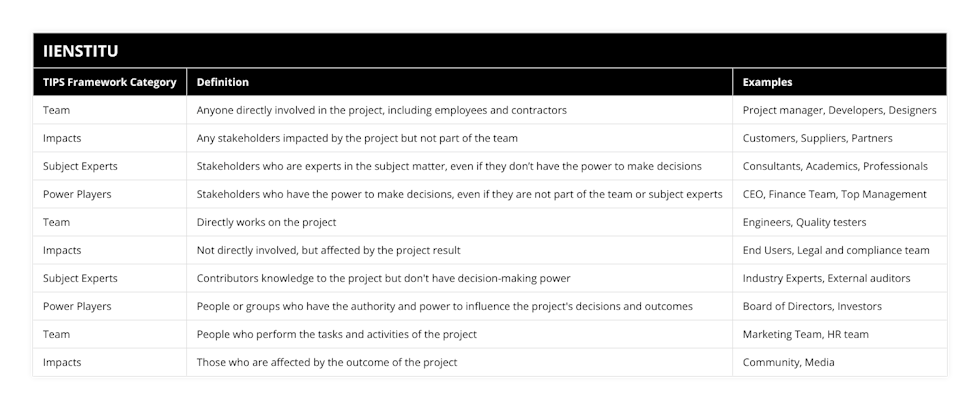 Team, Anyone directly involved in the project, including employees and contractors, Project manager, Developers, Designers, Impacts, Any stakeholders impacted by the project but not part of the team, Customers, Suppliers, Partners, Subject Experts, Stakeholders who are experts in the subject matter, even if they don’t have the power to make decisions, Consultants, Academics, Professionals, Power Players, Stakeholders who have the power to make decisions, even if they are not part of the team or subject experts, CEO, Finance Team, Top Management, Team, Directly works on the project, Engineers, Quality testers, Impacts, Not directly involved, but affected by the project result, End Users, Legal and compliance team, Subject Experts, Contributors knowledge to the project but don't have decision-making power, Industry Experts, External auditors, Power Players, People or groups who have the authority and power to influence the project's decisions and outcomes, Board of Directors, Investors, Team, People who perform the tasks and activities of the project, Marketing Team, HR team, Impacts, Those who are affected by the outcome of the project, Community, Media
