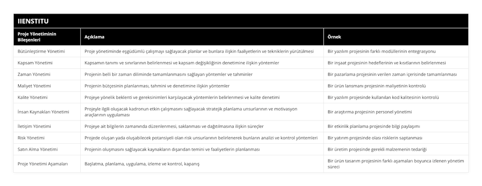 Bütünleştirme Yönetimi, Proje yönetiminde eşgüdümlü çalışmayı sağlayacak planlar ve bunlara ilişkin faaliyetlerin ve tekniklerin yürütülmesi, Bir yazılım projesinin farklı modüllerinin entegrasyonu, Kapsam Yönetimi, Kapsamın tanımı ve sınırlarının belirlenmesi ve kapsam değişikliğinin denetimine ilişkin yöntemler, Bir inşaat projesinin hedeflerinin ve kısıtlarının belirlenmesi, Zaman Yönetimi, Projenin belli bir zaman diliminde tamamlanmasını sağlayan yöntemler ve tahminler, Bir pazarlama projesinin verilen zaman içerisinde tamamlanması, Maliyet Yönetimi, Projenin bütçesinin planlanması, tahmini ve denetimine ilişkin yöntemler, Bir ürün lansmanı projesinin maliyetinin kontrolü, Kalite Yönetimi, Projeye yönelik beklenti ve gereksinimleri karşılayacak yöntemlerin belirlenmesi ve kalite denetimi, Bir yazılım projesinde kullanılan kod kalitesinin kontrolü, İnsan Kaynakları Yönetimi, Projeyle ilgili oluşacak kadronun etkin çalışmasını sağlayacak stratejik planlama unsurlarının ve motivasyon araçlarının uygulaması, Bir araştırma projesinin personel yönetimi, İletişim Yönetimi, Projeye ait bilgilerin zamanında düzenlenmesi, saklanması ve dağıtılmasına ilişkin süreçler, Bir etkinlik planlama projesinde bilgi paylaşımı, Risk Yönetimi, Projede oluşan yada oluşabilecek potansiyeli olan risk unsurlarının belirlenerek bunların analizi ve kontrol yöntemleri, Bir yatırım projesinde olası risklerin saptanması, Satın Alma Yönetimi, Projenin oluşmasını sağlayacak kaynakların dışarıdan temini ve faaliyetlerin planlanması, Bir üretim projesinde gerekli malzemenin tedariği, Proje Yönetimi Aşamaları, Başlatma, planlama, uygulama, izleme ve kontrol, kapanış, Bir ürün tasarım projesinin farklı aşamaları boyunca izlenen yönetim süreci