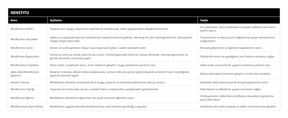 Mindfulness Nedir?, Yaşanan anın duygu, düşünce ve eylemlerine odaklanarak, onları yargılamadan izleyebilme becerisi, Anı yaşamanın, stresi azaltmanın ve yaşam kalitesini artırmanın keyfini çıkarır, Mindfulness Gerçekleri, Sadece anı yaşamak veya sorumluluklardan kaçmak anlamına gelmez Herhangi bir dini ritüeli gerektirmez Deneyimleri olduğu haliyle kabul eder, Tutumlarımız ve bakış açımızı değiştirerek yaşam deneyimimizi zenginleştirir, Mindfulness Süreci, Zaman ve pratik gerektirir Başarı veya başarısızlık yoktur, sadece deneyim vardır, Bireysel gelişimimizi ve öğrenme kapasitemizi artırır, Mindfulness Egzersizleri, Formal ve informal olmak üzere iki türü vardır Formal egzersizler belirli bir zaman diliminde, informal egzersizler ise günlük aktiviteler esnasında yapılır, Dikkatimizi artırır ve yaşadığımız anın farkına varmamızı sağlar, Mindfulnessın Faydaları, Stresi azaltır, iş tatminini artırır, insan ilişkilerini geliştirir, duygu yönetimine yardımcı olur, Daha mutlu ve huzurlu bir yaşam sürmemize yardımcı olur, Adım Adım Mindfulness Egzersizi, Rahat bir ortamda, dikkati nefese odaklanarak, normal nefes alış verişini gözlemleyerek ve kendini hazır hissettiğinde egzersizi bitirerek yapılır, Bilinçli farkındalık becerimizi geliştirir ve zihnimizi rahatlatır, Kendini Tanıma, Mindfulness teknikleri kullanarak kendi duygu, düşünce ve bedensel tepkilerimizi daha iyi anlarız, Kendimizi daha fazla tanıyarak bireysel gelişimimizi artırır, Mindfulness Tekniği, Yaşanılan anın bilincinde olarak, o andaki hisleri ve düşünceleri yargılamadan gözlemlemek, Daha bilinçli ve dikkatli bir yaşam sürmemizi sağlar, Mindfulness Eğitimi, Mindfulness tekniklerini öğrenmek için çeşitli kurumlar eğitimler sunar, Profesyonel bir rehberlikle mindfulness becerilerini geliştirme şansı elde ederiz, Mindfulnessta Nazik Olmak, Mindfulness uygulamalarında kendimize karşı nazik olmamız gerekliliği vurgulanır, Kendimize karşı daha anlayışlı ve sabırlı olma becerisini geliştirir