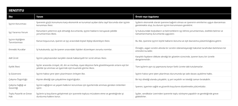 İşçinin Korunması, İşverenin güçlü konumuna karşı ekonomik ve kurumsal açıdan daha zayıf durumda olan işçinin korunması ilkesi, İşçilerin ekonomik olarak işverene bağımlı olması ve işverenin emirlerine uygun davranması gerekmekte olup, bu durum işçinin korunmasını gerektirir, İşçi Yararına Yorum, Kanunların yeterince açık olmadığı durumlarda, işçinin haklarını koruyacak şekilde yorumlanması ilkesi, İş hukukundaki boşlukların ve belirsizliklerin işçi lehine yorumlanması, özellikle belirsiz ve tamamlanmamış durumlarda uygulanır, İşçinin Kişiliğinin Tanımlanması, Kanun koyucunun, işveren ve işçi arasındaki kişisel ilişkiyi düzenleyici ilkesi, Bu ilke, işverene işçinin kişilik haklarını koruma ve eşit davranma yükümlülüğünü getirir, Emredici Kurallar, İş hukukunda, işçi ile işveren arasındaki ilişkileri düzenleyen zorunlu normlar, Örneğin, asgari ücretin altında bir ücretin ödenemeyeceği hükümet tarafından belirlenen bir emredici kuraldır, Adil Ücret, İşçinin çalışmasından karşılıklı olarak hakkaniyetli bir ücret alması ilkesi, Karşılıklı faydanın dikkate alındığı bir gözetim sürecinde, işveren bunu bir ücretle dengelemelidir, Eşitlik İlkesi, İşçiler arasında cinsiyet, dil, din ve mezhep, siyasi düşünce farkı gözetilmeyerek onların eşit bir şekilde işe alınması ve işyerinde eşit muamele görme ilkesi, Tüm işçilerin aynı işi yapmasına karşın farklı ücrete tabi tutulamazlar, İş Güvencesi, İşçinin haksız yere işten çıkarılmasını önleyen ilke, İşçinin haksız yere işten çıkarılması durumunda işe iade davası açabilme hakkı, Çalışma Özgürlüğü, Kişinin dilediği işte çalışabilme özgürlüğüdür, Bir kişi dilediği alanda çalışabilir, iş yeri seçebilir ve istediği zaman bırakabilir, Çalışma Sağlığı ve Güvenliği, İşçinin sağlığının ve yaşam hakkının korunması için işyerlerinde alınması gereken önlemleri içerir, İşveren, işyerinin sağlık ve güvenlik koşullarını düzeltmekle yükümlüdür, Toplu Pazarlık ve Greve Hak, İşçilerin iş koşullarını geliştirmek için işverenle topluca müzakere etme ve gerektiğinde işi durdurma hakkını korur, İşçiler, sendikalar üzerinden işverenle toplu sözleşme yapabilir ve gerektiğinde greve gidebilirler