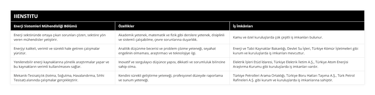 Enerji sektöründe ortaya çıkan sorunları çözen, sektöre yön veren mühendisler yetiştirir, Akademik yetenek, matematik ve fizik gibi derslere yetenek, disiplinli ve sistemli çalışabilme, çevre sorunlarına duyarlılık, Kamu ve özel kuruluşlarda çok çeşitli iş imkanları bulunur, Enerjiyi kaliteli, verimli ve sürekli hale getiren çalışmalar yürütür, Analitik düşünme becerisi ve problem çözme yeteneği, seyahat engelinin olmaması, araştırmacı ve teknolojiye ilgi, Enerji ve Tabii Kaynaklar Bakanlığı, Devlet Su İşleri, Türkiye Kömür İşletmeleri gibi kurum ve kuruluşlarda iş imkanları mevcuttur, Yenilenebilir enerji kaynaklarına yönelik araştırmalar yapar ve bu kaynakların verimli kullanılmasını sağlar, Inovatif ve sorgulayıcı düşünce yapısı, dikkatli ve sorumluluk bilincine sahip olma, Elektrik İşleri Etüd İdaresi, Türkiye Elektrik İletim AŞ, Türkiye Atom Enerjisi Araştırma Kurumu gibi kuruluşlarda iş imkanları vardır, Mekanik-Tesisatçılık (Isıtma, Soğutma, Havalandırma, Sıhhi Tesisat) alanında çalışmalar gerçekleştirir, Kendini sürekli geliştirme yeteneği, profesyonel düzeyde raporlama ve sunum yeteneği, Türkiye Petrolleri Arama Ortaklığı, Türkiye Boru Hatları Taşıma AŞ, Türk Petrol Rafineleri AŞ gibi kurum ve kuruluşlarda iş imkanlarına sahiptir