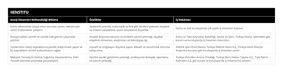 Enerji sektöründe ortaya çıkan sorunları çözen, sektöre yön veren mühendisler yetiştirir, Akademik yetenek, matematik ve fizik gibi derslere yetenek, disiplinli ve sistemli çalışabilme, çevre sorunlarına duyarlılık, Kamu ve özel kuruluşlarda çok çeşitli iş imkanları bulunur, Enerjiyi kaliteli, verimli ve sürekli hale getiren çalışmalar yürütür, Analitik düşünme becerisi ve problem çözme yeteneği, seyahat engelinin olmaması, araştırmacı ve teknolojiye ilgi, Enerji ve Tabii Kaynaklar Bakanlığı, Devlet Su İşleri, Türkiye Kömür İşletmeleri gibi kurum ve kuruluşlarda iş imkanları mevcuttur, Yenilenebilir enerji kaynaklarına yönelik araştırmalar yapar ve bu kaynakların verimli kullanılmasını sağlar, Inovatif ve sorgulayıcı düşünce yapısı, dikkatli ve sorumluluk bilincine sahip olma, Elektrik İşleri Etüd İdaresi, Türkiye Elektrik İletim AŞ, Türkiye Atom Enerjisi Araştırma Kurumu gibi kuruluşlarda iş imkanları vardır, Mekanik-Tesisatçılık (Isıtma, Soğutma, Havalandırma, Sıhhi Tesisat) alanında çalışmalar gerçekleştirir, Kendini sürekli geliştirme yeteneği, profesyonel düzeyde raporlama ve sunum yeteneği, Türkiye Petrolleri Arama Ortaklığı, Türkiye Boru Hatları Taşıma AŞ, Türk Petrol Rafineleri AŞ gibi kurum ve kuruluşlarda iş imkanlarına sahiptir