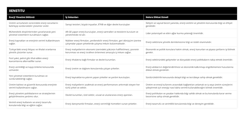 Üretim ve kullanım sürecindeki enerji sorunlarını belirleyip sürdürülebilir çözümler üretir, Sanayi tesisleri, büyük inşaatlar, ETKB ve diğer devlet kuruluşları, İletişim ve sayısal beceri yanında, enerji üretimi ve yönetimi konusunda bilgi ve ehliyet gereklidir, Mühendislik disiplinlerinden yararlanarak yeni yönetsel sistemlerin kurulmasını sağlar, AR-GE yapan enerji kuruluşları, enerji santralleri ve tesislerin kurulum ve yönetiminde rol alır, Lider potansiyeli ve etkin ağlar kurma yeteneği önemlidir, Enerji kaynakları ve enerjinin verimli kullanılmasını sağlar, Nükleer enerji firmaları, yenilenebilir enerji firmaları, geri dönüşüm üzerine çalışmalar yapan şirketlerde çalışma imkanı bulunmaktadır, Enerji sektörüne yönelik derinlemesine bilgi ve istekli olunmalıdır, Türkiye'deki enerji ihtiyacı ve ithalat oranlarına yönelik çözümler sunar, Enerji maliyetlerinin ekonomi üzerindeki yükünün hafifletilmesi, çevrenin korunması ve enerji israfının önlenmesi amacıyla iş imkanı sağlar, Ekonomik ve politik konulara hakim olmak, enerji kanunları ve piyasa şartlarını iyi bilmek gerekir, Fosil yakıt, petrol gibi ithal edilen enerji kavramlarına alternatifler sunar, Enerji ithalatına bağlı firmalar ve devlet kurumları, Enerji sektöründeki gelişmeler ve dünyadaki enerji politikalarını takip etmek önemlidir, Enerji verimliliği ve kayıp önleme konusunda uzmandır, Enerji üretim ve dağıtımı konularında çalışan şirketler, Enerji atıklarının değerlendirilmesi ve ekonomik kalkınmayı engellememesi hususlarına dikkat etmek gereklidir, Yeni yönetsel sistemlerin kurulması ve sürdürülebilirliği sağlar, Enerji kaynaklarına yatırım yapan şirketler ve yardım kuruluşları, Sürdürülebilirlik konusunda detaylı bilgi ve tecrübeye sahip olmak gereklidir, Üretim kalitesi ve güvenlik konusunda enerjinin verimli kullanılmasını sağlar, Enerji maliyetlerini azaltmak ve enerji performansını arttırmak isteyen her türlü şirket ve sektör, Üretim ve enerji kullanımı arasındaki bağlantıları anlamak ve iş veya üretim süreçlerini iyileştirmek için enerjiyi nasıl daha verimli kullanabileceğini bilmek önemlidir, Enerji yönetimi politikalarının ve stratejilerinin geliştirilmesine yardımcı olur, Devlet kurumları, özel sektör, ulusal ve uluslararası enerji ajansları, Enerji politikaları ve yasaları hakkında bilgi sahibi olmak ve bu konularda karar verme becerisine sahip olmak gereklidir, Verimli enerji kullanımı ve enerji tasarrufu konularında bilgi ve eğitim sağlar, Enerji danışmanlık firmaları, enerji verimliliği hizmetleri sunan şirketler, Enerji tasarrufu ve verimlilik konularında bilgi ve deneyim gereklidir