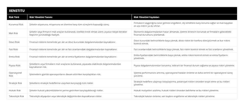 Kurumsal Risk, Şirketin vizyonuna, misyonuna ve izlemine karşı tüm süreçlerin kapsadığı süreç, Firmaların saygınlığına zarar gelmesi engellenir, dış tehditlere karşı koruma sağlar ve mali kayıpları en aza indirir ya da sıfırlar, Mali Risk, Şirketin veya firmanın mali araçları kullanarak, özellikle kredi olmak üzere, piyasa riskiyle beraber hepsinin yürütüldüğü faaliyet, Ekonomik dalgalanmalardan hasar almamak, işletme direncini korumak ve firmaların gelecekteki finansal durumunu planlamak, Döviz Riski, Finansal risklerin temelinde yer alır ve döviz kurundaki dalgalanmalardan kaynaklanır, Döviz kurundaki belirsizliklerle başa çıkmak, döviz riskini bir konfora dönüştürmek ve kur riskini kontrol etmek, Faiz Riski, Finansal risklerin temelinde yer alır ve faiz oranlarındaki dalgalanmalardan kaynaklanır, Faiz oranlarındaki belirsizliklerle başa çıkmak, faiz riskini kontrol etmek ve faiz oranlarını yönetmek, Emtia Riski, Finansal risklerin temelinde yer alır ve emtia fiyatlarının dalgalanmalardan kaynaklanır, Emtia fiyatlarındaki belirsizliklerle başa çıkmak, emtia riskini kontrol etmek ve emtia fiyatlarını yönetmek, Piyasa Riski, Şirketlerin veya firmaların mali araçlarını kullanarak, piyasada olabilecek dalgalanmalardan kaynaklanan risk, Piyasa dalgalanmalarından korunma, istikrarlı bir finansal durum sağlama ve piyasa riskini yönetme, Operasyonel Risk, İşletmelerin günlük operasyonlarını devam ettirirken karşılaştıkları risk, İşletme performansını artırma, operasyonel hataları önleme ve daha verimli bir operasyonel süreç yürütme, Stratejik Risk, Şirketlerin stratejik hedeflerine ulaşırken karşılaştığı tüm riskler, Stratejik hedeflere ulaşmayı kolaylaştırma, potansiyel riskleri önceden tespit etme ve bu riskleri yönetme, Hukuki Risk, Şirketin hukuki yükümlülüklerini yerine getirirken karşılaşabileceği riskler, Hukuki maliyetleri azaltma, hukuki riskleri önceden belirleme ve bu riskleri yönetme, Teknolojik Risk, Teknolojik altyapıdan veya teknolojik değişimlerden kaynaklanan riskler, Teknolojik hataları önleme, veri kaybını engelleme ve teknolojik riskleri yönetme