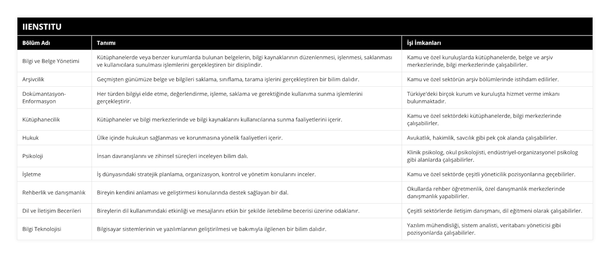 Bilgi ve Belge Yönetimi, Kütüphanelerde veya benzer kurumlarda bulunan belgelerin, bilgi kaynaklarının düzenlenmesi, işlenmesi, saklanması ve kullanıcılara sunulması işlemlerini gerçekleştiren bir disiplindir, Kamu ve özel kuruluşlarda kütüphanelerde, belge ve arşiv merkezlerinde, bilgi merkezlerinde çalışabilirler, Arşivcilik, Geçmişten günümüze belge ve bilgileri saklama, sınıflama, tarama işlerini gerçekleştiren bir bilim dalıdır, Kamu ve özel sektörün arşiv bölümlerinde istihdam edilirler, Dokümantasyon-Enformasyon, Her türden bilgiyi elde etme, değerlendirme, işleme, saklama ve gerektiğinde kullanıma sunma işlemlerini gerçekleştirir, Türkiye'deki birçok kurum ve kuruluşta hizmet verme imkanı bulunmaktadır, Kütüphanecilik, Kütüphaneler ve bilgi merkezlerinde ve bilgi kaynaklarını kullanıcılarına sunma faaliyetlerini içerir, Kamu ve özel sektördeki kütüphanelerde, bilgi merkezlerinde çalışabilirler, Hukuk, Ülke içinde hukukun sağlanması ve korunmasına yönelik faaliyetleri içerir, Avukatlık, hakimlik, savcılık gibi pek çok alanda çalışabilirler, Psikoloji, İnsan davranışlarını ve zihinsel süreçleri inceleyen bilim dalı, Klinik psikolog, okul psikolojisti, endüstriyel-organizasyonel psikolog gibi alanlarda çalışabilirler, İşletme, İş dünyasındaki stratejik planlama, organizasyon, kontrol ve yönetim konularını inceler, Kamu ve özel sektörde çeşitli yöneticilik pozisyonlarına geçebilirler, Rehberlik ve danışmanlık, Bireyin kendini anlaması ve geliştirmesi konularında destek sağlayan bir dal, Okullarda rehber öğretmenlik, özel danışmanlık merkezlerinde danışmanlık yapabilirler, Dil ve İletişim Becerileri, Bireylerin dil kullanımındaki etkinliği ve mesajlarını etkin bir şekilde iletebilme becerisi üzerine odaklanır, Çeşitli sektörlerde iletişim danışmanı, dil eğitmeni olarak çalışabilirler, Bilgi Teknolojisi, Bilgisayar sistemlerinin ve yazılımlarının geliştirilmesi ve bakımıyla ilgilenen bir bilim dalıdır, Yazılım mühendisliği, sistem analisti, veritabanı yöneticisi gibi pozisyonlarda çalışabilirler