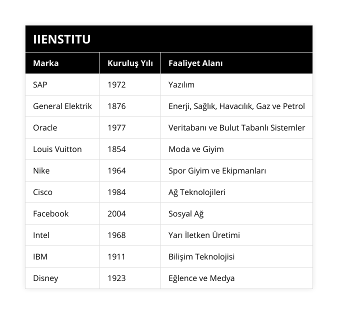 SAP, 1972, Yazılım, General Elektrik, 1876, Enerji, Sağlık, Havacılık, Gaz ve Petrol, Oracle, 1977, Veritabanı ve Bulut Tabanlı Sistemler, Louis Vuitton, 1854, Moda ve Giyim, Nike, 1964, Spor Giyim ve Ekipmanları, Cisco, 1984, Ağ Teknolojileri, Facebook, 2004, Sosyal Ağ, Intel, 1968, Yarı İletken Üretimi, IBM, 1911, Bilişim Teknolojisi, Disney, 1923, Eğlence ve Medya