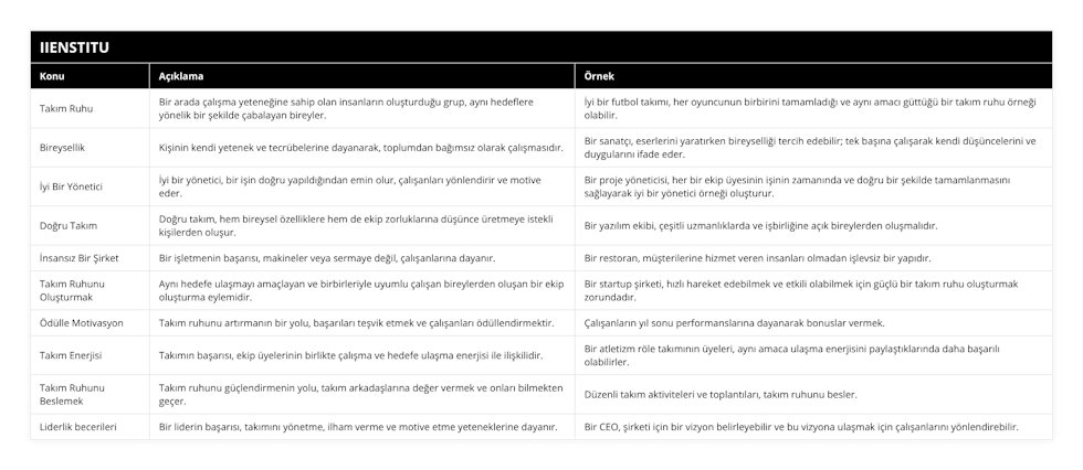 Takım Ruhu, Bir arada çalışma yeteneğine sahip olan insanların oluşturduğu grup, aynı hedeflere yönelik bir şekilde çabalayan bireyler, İyi bir futbol takımı, her oyuncunun birbirini tamamladığı ve aynı amacı güttüğü bir takım ruhu örneği olabilir, Bireysellik, Kişinin kendi yetenek ve tecrübelerine dayanarak, toplumdan bağımsız olarak çalışmasıdır, Bir sanatçı, eserlerini yaratırken bireyselliği tercih edebilir; tek başına çalışarak kendi düşüncelerini ve duygularını ifade eder, İyi Bir Yönetici, İyi bir yönetici, bir işin doğru yapıldığından emin olur, çalışanları yönlendirir ve motive eder, Bir proje yöneticisi, her bir ekip üyesinin işinin zamanında ve doğru bir şekilde tamamlanmasını sağlayarak iyi bir yönetici örneği oluşturur, Doğru Takım, Doğru takım, hem bireysel özelliklere hem de ekip zorluklarına düşünce üretmeye istekli kişilerden oluşur, Bir yazılım ekibi, çeşitli uzmanlıklarda ve işbirliğine açık bireylerden oluşmalıdır, İnsansız Bir Şirket, Bir işletmenin başarısı, makineler veya sermaye değil, çalışanlarına dayanır, Bir restoran, müşterilerine hizmet veren insanları olmadan işlevsiz bir yapıdır, Takım Ruhunu Oluşturmak, Aynı hedefe ulaşmayı amaçlayan ve birbirleriyle uyumlu çalışan bireylerden oluşan bir ekip oluşturma eylemidir, Bir startup şirketi, hızlı hareket edebilmek ve etkili olabilmek için güçlü bir takım ruhu oluşturmak zorundadır, Ödülle Motivasyon, Takım ruhunu artırmanın bir yolu, başarıları teşvik etmek ve çalışanları ödüllendirmektir, Çalışanların yıl sonu performanslarına dayanarak bonuslar vermek, Takım Enerjisi, Takımın başarısı, ekip üyelerinin birlikte çalışma ve hedefe ulaşma enerjisi ile ilişkilidir,  Bir atletizm röle takımının üyeleri, aynı amaca ulaşma enerjisini paylaştıklarında daha başarılı olabilirler, Takım Ruhunu Beslemek, Takım ruhunu güçlendirmenin yolu, takım arkadaşlarına değer vermek ve onları bilmekten geçer, Düzenli takım aktiviteleri ve toplantıları, takım ruhunu besler, Liderlik becerileri, Bir liderin başarısı, takımını yönetme, ilham verme ve motive etme yeteneklerine dayanır, Bir CEO, şirketi için bir vizyon belirleyebilir ve bu vizyona ulaşmak için çalışanlarını yönlendirebilir