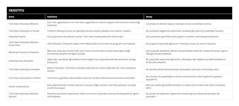 Türk İslam Arkeolojisi Bölümü, Eski Türk uygarlıklarının ve Türk-İslam uygarlıklarının izlerini taşıyan tarihî eserlerin incelendiği bölümdür, Çalışmalar iki dönemi kapsar: İslamiyet öncesi ve İslamiyet sonrası, Türk İslam Arkeolojisi ve Sanatı, Türklerin İslamiyet öncesi ve İslamiyet sonrası üretmiş oldukları tüm eserler incelenir, Bu eserlerde olağanüstü bezemeler ve dantel gibi işlenmiş süslemeler bulunur, Arkeolojik Kazılar, Kazı çalışmalarında bulunan eserler, Türk-İslam medeniyetlerinin izlerini taşır, Kazı çalışmaları genellikle tarihi yapılar ve şehirler üzerinde gerçekleştirilir, Türk İslam Arkeolojisi Bölümü Üniversitesi, 2020 itibariyle Türkiye'de sadece İzmir Kâtip Çelebi Üniversitesi bu programı sunmaktadır, Bu program sayesinde öğrenciler 'arkeolog' unvanı ile mezun oluyorlar, Mezuniyet Sonrası İş İmkanları, Mezunlar arkeoloji müzelerinde, türk i̇slam müzelerinde ve kültür bakanlığına bağlı kurumlarda çalışma olanağına sahiptir, Ayrıca gerekli akademik adımları tamamladıkları takdirde, akademik kariyer yapma olanağı da bulunmaktadır, Arkeolojik Kazı Deneyimi, Öğrenciler, derslerde öğrendikleri teorik bilgileri kazı çalışmalarında deneyimleme olanağı buluyorlar, Bu çalışmalar sayesinde öğrenciler, arkeolojiye dâir bilgilerini pratikle birleştirme fırsatı elde ediyorlar, Türk İslam Arkeolojisi Uzmanlık, Bölüm mezunları, Türk İslam arkeolojisi alanında en uzman kişilerden biri olma avantajına sahiptir, Bu alanda yüksek lisansı bulunan tek program yine aynı üniversiteye aittir, Türk İslam Arkeolojisi'nin Önemi, Türk İslam uygarlıkları döneminden kalan her türdeki tarihî mirasın korunması önemlidir, Bu mirasları koruyabildiğimiz sürece, kültürümüzün izlerini gelecek kuşaklara taşıyabiliriz, Kazılar ve Buluntular, Kazı çalışmalarında; mutfak, hamam ve sarayın diğer kısımları üzerinde çalışılıyor ve çeşitli eserler bulunuyor, Bulunan eserler genellikle temizlenir ve daha sonra incelenmek üzere muhafaza edilir, Türk İslam Arkeolojisi Bölümü Dersleri, Döneme ait eserlerin çıkarılması, bakım ve onarım çalışmaları konusunda kapsamlı bir eğitim verilmektedir, Bu dersler ve çalışmalar, öğrencilere teorik bilgi yanında pratik deneyim de kazandırır