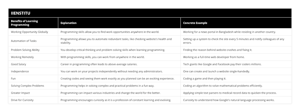 Why Should You Learn Programming? | IIENSTITU