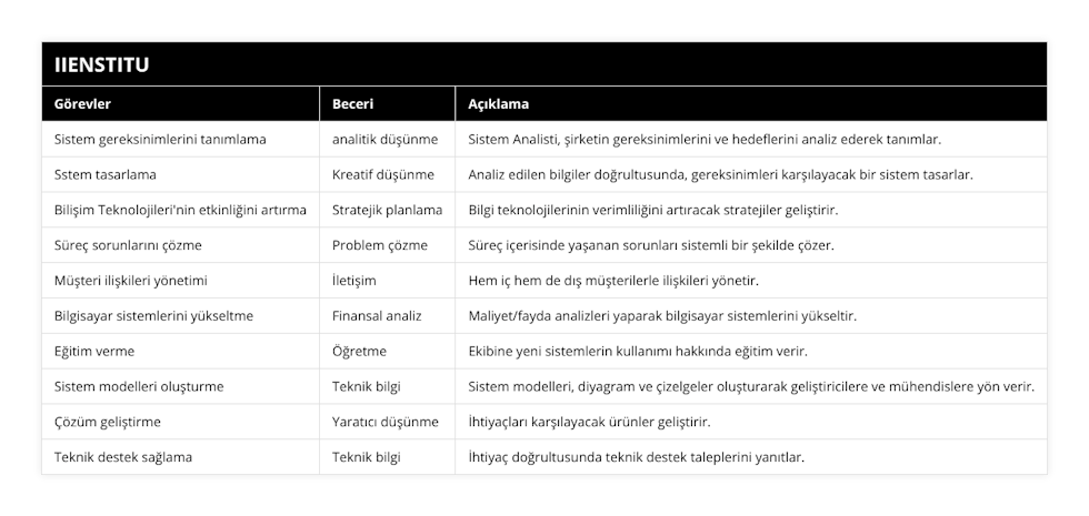 Sistem gereksinimlerini tanımlama, analitik düşünme, Sistem Analisti, şirketin gereksinimlerini ve hedeflerini analiz ederek tanımlar, Sstem tasarlama, Kreatif düşünme, Analiz edilen bilgiler doğrultusunda, gereksinimleri karşılayacak bir sistem tasarlar, Bilişim Teknolojileri'nin etkinliğini artırma, Stratejik planlama, Bilgi teknolojilerinin verimliliğini artıracak stratejiler geliştirir, Süreç sorunlarını çözme, Problem çözme, Süreç içerisinde yaşanan sorunları sistemli bir şekilde çözer, Müşteri ilişkileri yönetimi, İletişim, Hem iç hem de dış müşterilerle ilişkileri yönetir, Bilgisayar sistemlerini yükseltme, Finansal analiz, Maliyet/fayda analizleri yaparak bilgisayar sistemlerini yükseltir, Eğitim verme, Öğretme, Ekibine yeni sistemlerin kullanımı hakkında eğitim verir, Sistem modelleri oluşturme, Teknik bilgi, Sistem modelleri, diyagram ve çizelgeler oluşturarak geliştiricilere ve mühendislere yön verir, Çözüm geliştirme, Yaratıcı düşünme, İhtiyaçları karşılayacak ürünler geliştirir, Teknik destek sağlama, Teknik bilgi, İhtiyaç doğrultusunda teknik destek taleplerini yanıtlar