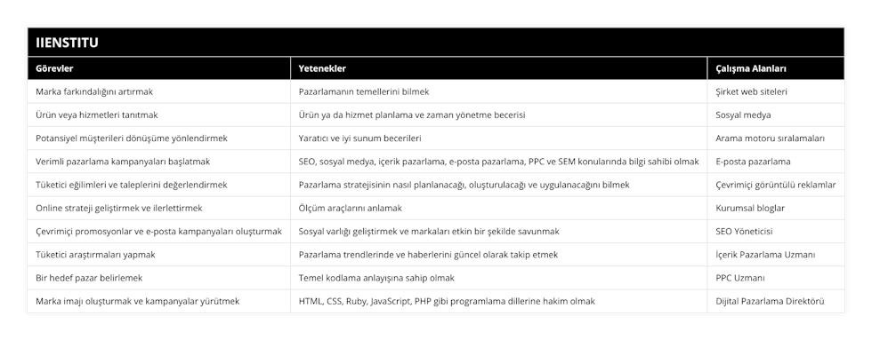 Marka farkındalığını artırmak, Pazarlamanın temellerini bilmek, Şirket web siteleri, Ürün veya hizmetleri tanıtmak, Ürün ya da hizmet planlama ve zaman yönetme becerisi, Sosyal medya, Potansiyel müşterileri dönüşüme yönlendirmek, Yaratıcı ve iyi sunum becerileri, Arama motoru sıralamaları, Verimli pazarlama kampanyaları başlatmak, SEO, sosyal medya, içerik pazarlama, e-posta pazarlama, PPC ve SEM konularında bilgi sahibi olmak, E-posta pazarlama, Tüketici eğilimleri ve taleplerini değerlendirmek, Pazarlama stratejisinin nasıl planlanacağı, oluşturulacağı ve uygulanacağını bilmek, Çevrimiçi görüntülü reklamlar, Online strateji geliştirmek ve ilerlettirmek, Ölçüm araçlarını anlamak, Kurumsal bloglar, Çevrimiçi promosyonlar ve e-posta kampanyaları oluşturmak, Sosyal varlığı geliştirmek ve markaları etkin bir şekilde savunmak, SEO Yöneticisi, Tüketici araştırmaları yapmak, Pazarlama trendlerinde ve haberlerini güncel olarak takip etmek, İçerik Pazarlama Uzmanı, Bir hedef pazar belirlemek, Temel kodlama anlayışına sahip olmak, PPC Uzmanı, Marka imajı oluşturmak ve kampanyalar yürütmek, HTML, CSS, Ruby, JavaScript, PHP gibi programlama dillerine hakim olmak, Dijital Pazarlama Direktörü