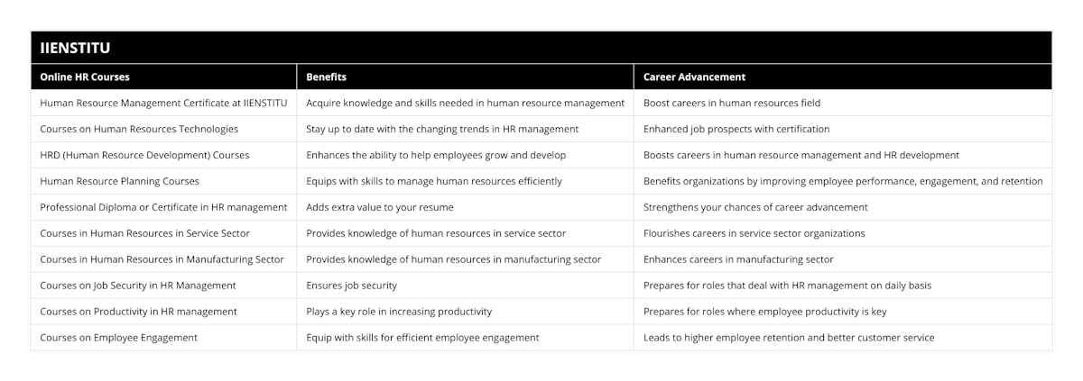 Human Resource Management Certificate at IIENSTITU, Acquire knowledge and skills needed in human resource management, Boost careers in human resources field, Courses on Human Resources Technologies, Stay up to date with the changing trends in HR management, Enhanced job prospects with certification, HRD (Human Resource Development) Courses, Enhances the ability to help employees grow and develop, Boosts careers in human resource management and HR development, Human Resource Planning Courses, Equips with skills to manage human resources efficiently, Benefits organizations by improving employee performance, engagement, and retention, Professional Diploma or Certificate in HR management, Adds extra value to your resume, Strengthens your chances of career advancement, Courses in Human Resources in Service Sector, Provides knowledge of human resources in service sector, Flourishes careers in service sector organizations, Courses in Human Resources in Manufacturing Sector, Provides knowledge of human resources in manufacturing sector, Enhances careers in manufacturing sector, Courses on Job Security in HR Management, Ensures job security, Prepares for roles that deal with HR management on daily basis, Courses on Productivity in HR management, Plays a key role in increasing productivity, Prepares for roles where employee productivity is key, Courses on Employee Engagement, Equip with skills for efficient employee engagement, Leads to higher employee retention and better customer service