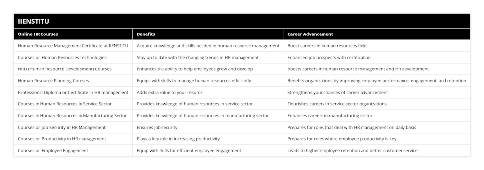 Human Resource Management Certificate at IIENSTITU, Acquire knowledge and skills needed in human resource management, Boost careers in human resources field, Courses on Human Resources Technologies, Stay up to date with the changing trends in HR management, Enhanced job prospects with certification, HRD (Human Resource Development) Courses, Enhances the ability to help employees grow and develop, Boosts careers in human resource management and HR development, Human Resource Planning Courses, Equips with skills to manage human resources efficiently, Benefits organizations by improving employee performance, engagement, and retention, Professional Diploma or Certificate in HR management, Adds extra value to your resume, Strengthens your chances of career advancement, Courses in Human Resources in Service Sector, Provides knowledge of human resources in service sector, Flourishes careers in service sector organizations, Courses in Human Resources in Manufacturing Sector, Provides knowledge of human resources in manufacturing sector, Enhances careers in manufacturing sector, Courses on Job Security in HR Management, Ensures job security, Prepares for roles that deal with HR management on daily basis, Courses on Productivity in HR management, Plays a key role in increasing productivity, Prepares for roles where employee productivity is key, Courses on Employee Engagement, Equip with skills for efficient employee engagement, Leads to higher employee retention and better customer service