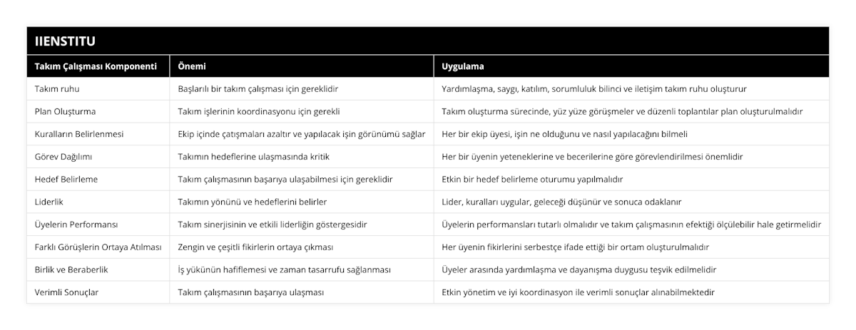 Takım ruhu, Başlarılı bir takım çalışması için gereklidir, Yardımlaşma, saygı, katılım, sorumluluk bilinci ve iletişim takım ruhu oluşturur, Plan Oluşturma, Takım işlerinin koordinasyonu için gerekli, Takım oluşturma sürecinde, yüz yüze görüşmeler ve düzenli toplantılar plan oluşturulmalıdır, Kuralların Belirlenmesi, Ekip içinde çatışmaları azaltır ve yapılacak işin görünümü sağlar, Her bir ekip üyesi, işin ne olduğunu ve nasıl yapılacağını bilmeli, Görev Dağılımı, Takımın hedeflerine ulaşmasında kritik, Her bir üyenin yeteneklerine ve becerilerine göre görevlendirilmesi önemlidir, Hedef Belirleme, Takım çalışmasının başarıya ulaşabilmesi için gereklidir, Etkin bir hedef belirleme oturumu yapılmalıdır, Liderlik, Takımın yönünü ve hedeflerini belirler, Lider, kuralları uygular, geleceği düşünür ve sonuca odaklanır, Üyelerin Performansı, Takım sinerjisinin ve etkili liderliğin göstergesidir, Üyelerin performansları tutarlı olmalıdır ve takım çalışmasının efektiği ölçülebilir hale getirmelidir, Farklı Görüşlerin Ortaya Atılması, Zengin ve çeşitli fikirlerin ortaya çıkması, Her üyenin fikirlerini serbestçe ifade ettiği bir ortam oluşturulmalıdır, Birlik ve Beraberlik, İş yükünün hafiflemesi ve zaman tasarrufu sağlanması, Üyeler arasında yardımlaşma ve dayanışma duygusu teşvik edilmelidir, Verimli Sonuçlar, Takım çalışmasının başarıya ulaşması, Etkin yönetim ve iyi koordinasyon ile verimli sonuçlar alınabilmektedir