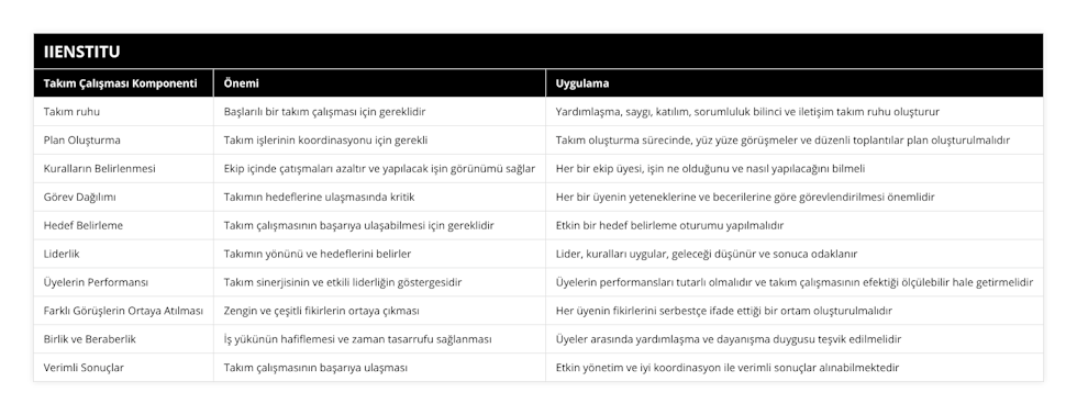 Takım ruhu, Başlarılı bir takım çalışması için gereklidir, Yardımlaşma, saygı, katılım, sorumluluk bilinci ve iletişim takım ruhu oluşturur, Plan Oluşturma, Takım işlerinin koordinasyonu için gerekli, Takım oluşturma sürecinde, yüz yüze görüşmeler ve düzenli toplantılar plan oluşturulmalıdır, Kuralların Belirlenmesi, Ekip içinde çatışmaları azaltır ve yapılacak işin görünümü sağlar, Her bir ekip üyesi, işin ne olduğunu ve nasıl yapılacağını bilmeli, Görev Dağılımı, Takımın hedeflerine ulaşmasında kritik, Her bir üyenin yeteneklerine ve becerilerine göre görevlendirilmesi önemlidir, Hedef Belirleme, Takım çalışmasının başarıya ulaşabilmesi için gereklidir, Etkin bir hedef belirleme oturumu yapılmalıdır, Liderlik, Takımın yönünü ve hedeflerini belirler, Lider, kuralları uygular, geleceği düşünür ve sonuca odaklanır, Üyelerin Performansı, Takım sinerjisinin ve etkili liderliğin göstergesidir, Üyelerin performansları tutarlı olmalıdır ve takım çalışmasının efektiği ölçülebilir hale getirmelidir, Farklı Görüşlerin Ortaya Atılması, Zengin ve çeşitli fikirlerin ortaya çıkması, Her üyenin fikirlerini serbestçe ifade ettiği bir ortam oluşturulmalıdır, Birlik ve Beraberlik, İş yükünün hafiflemesi ve zaman tasarrufu sağlanması, Üyeler arasında yardımlaşma ve dayanışma duygusu teşvik edilmelidir, Verimli Sonuçlar, Takım çalışmasının başarıya ulaşması, Etkin yönetim ve iyi koordinasyon ile verimli sonuçlar alınabilmektedir