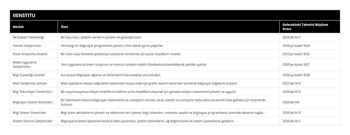 Veritabanı Yöneticiliği, Bir kurumun, şirketin verilerini yönetir ve güvende tutar, 2026'da %11, Yazılım Geliştiriciler, Herhangi bir bilgisayar programının yaratıcı zihni olarak görev yaparlar, 2026'ya kadar %24, Pazar Araştırma Analisti, Bir ürün veya hizmetin potansiyel satışlarını incelemek için pazar koşullarını inceler, 2022’ye kadar %32, Mobil Uygulama Geliştiricileri, Yeni uygulama ürünleri oluşturur ve mevcut ürünleri mobil cihazlarda kullanılabilecek şekilde uyarlar, 2020'ye kadar %57, Bilgi Güvenliği Analisti, Kuruluşun bilgisayar ağlarını ve sistemlerini korumaktan sorumludur, 2026'ya kadar %28, Web Geliştirme Uzmanı, Web sayfalarını dizayn edip belirli tasarımlar oluşturmak için grafik tasarım becerileri ve teknik bilgisayar bilgilerini kullanır, 2022'de %15, Bilgi Teknolojisi Yöneticileri, Bir organizasyonun bilişim hedeflerini belirler ve bu hedeflere ulaşmak için gereken bilişim sistemlerini yönetir ve uygular, 2026'da %12, Bilgisayar Sistem Analistleri, Bir işletmenin mevcut bilgisayar sistemlerini ve süreçlerini inceler, ve bu sistem ve süreçlerin daha etkin ve verimli hale gelmesi için önerilerde bulunur, 2026'da %9, Bilgi Sistem Yöneticileri, Bilgi işlem aktivitelerini yönetir ve elektronik veri işleme, bilgi sistemleri, sistemler analizi ve bilgisayar programlama üzerinde denetim sağlar, 2026'da %10, Sistem Yazılımı Geliştiriciler, Bilgisayarın temel işlevlerini kontrol eden yazılımları, işletim sistemlerini, ağ dağıtımlarını ve sistem yazılımlarını geliştirir, 2026'da %11