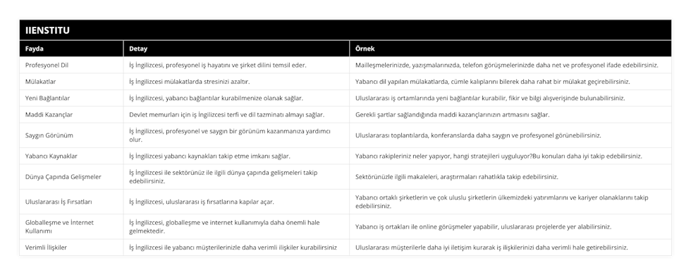 Profesyonel Dil, İş İngilizcesi, profesyonel iş hayatını ve şirket dilini temsil eder, Mailleşmelerinizde, yazışmalarınızda, telefon görüşmelerinizde daha net ve profesyonel ifade edebilirsiniz, Mülakatlar, İş İngilizcesi mülakatlarda stresinizi azaltır, Yabancı dil yapılan mülakatlarda, cümle kalıplarını bilerek daha rahat bir mülakat geçirebilirsiniz, Yeni Bağlantılar, İş İngilizcesi, yabancı bağlantılar kurabilmenize olanak sağlar, Uluslararası iş ortamlarında yeni bağlantılar kurabilir, fikir ve bilgi alışverişinde bulunabilirsiniz, Maddi Kazançlar, Devlet memurları için iş İngilizcesi terfi ve dil tazminatı almayı sağlar, Gerekli şartlar sağlandığında maddi kazançlarınızın artmasını sağlar, Saygın Görünüm, İş İngilizcesi, profesyonel ve saygın bir görünüm kazanmanıza yardımcı olur, Uluslararası toplantılarda, konferanslarda daha saygın ve profesyonel görünebilirsiniz, Yabancı Kaynaklar, İş İngilizcesi yabancı kaynakları takip etme imkanı sağlar, Yabancı rakipleriniz neler yapıyor, hangi stratejileri uyguluyor?Bu konuları daha iyi takip edebilirsiniz, Dünya Çapında Gelişmeler, İş İngilizcesi ile sektörünüz ile ilgili dünya çapında gelişmeleri takip edebilirsiniz, Sektörünüzle ilgili makaleleri, araştırmaları rahatlıkla takip edebilirsiniz, Uluslararası İş Fırsatları, İş İngilizcesi, uluslararası iş fırsatlarına kapılar açar, Yabancı ortaklı şirketlerin ve çok uluslu şirketlerin ülkemizdeki yatırımlarını ve kariyer olanaklarını takip edebilirsiniz, Globalleşme ve İnternet Kullanımı, İş İngilizcesi, globalleşme ve internet kullanımıyla daha önemli hale gelmektedir, Yabancı iş ortakları ile online görüşmeler yapabilir, uluslararası projelerde yer alabilirsiniz, Verimli İlişkiler, İş İngilizcesi ile yabancı müşterilerinizle daha verimli ilişkiler kurabilirsiniz, Uluslararası müşterilerle daha iyi iletişim kurarak iş ilişkilerinizi daha verimli hale getirebilirsiniz